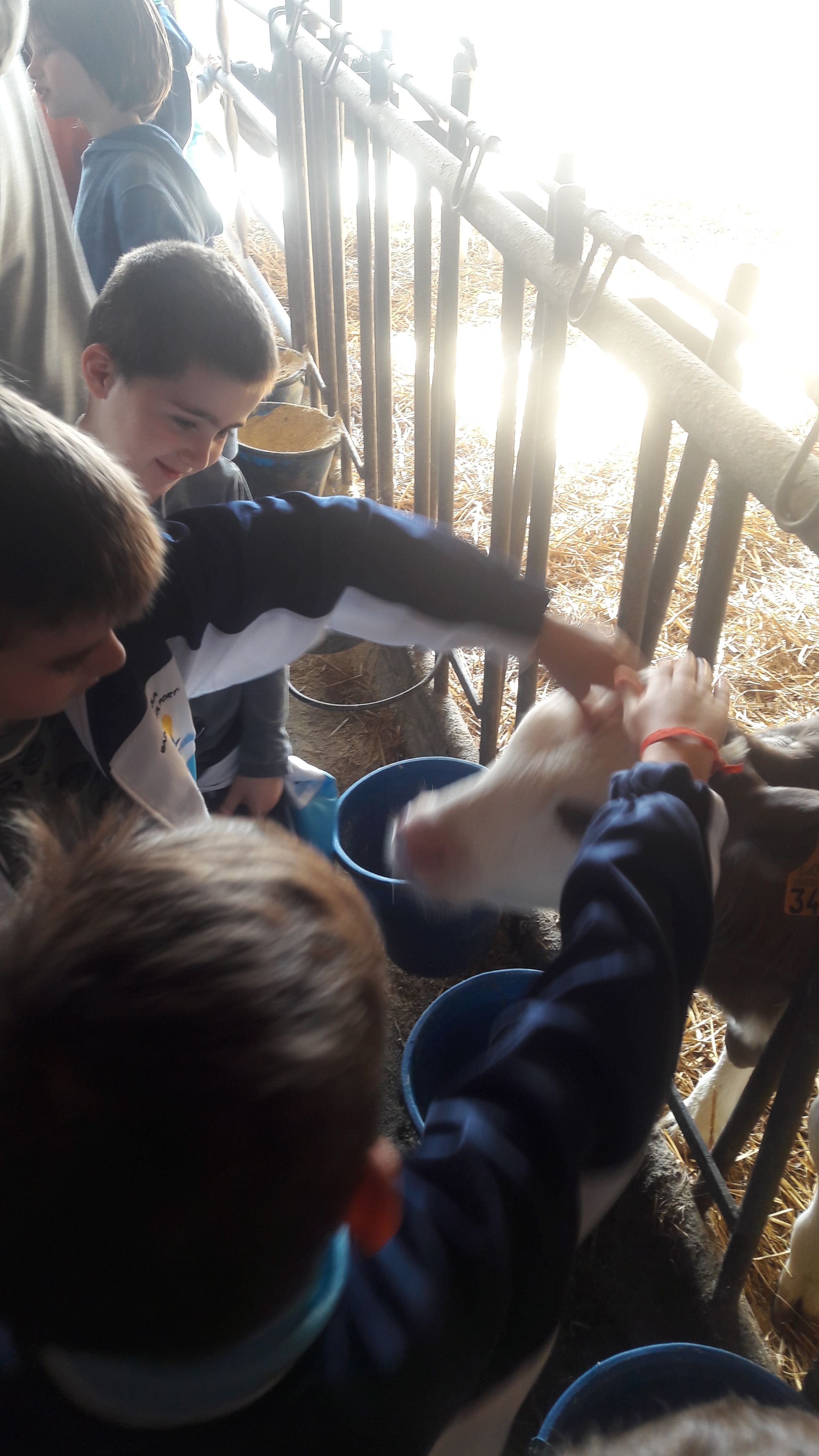 20190307_111526_result