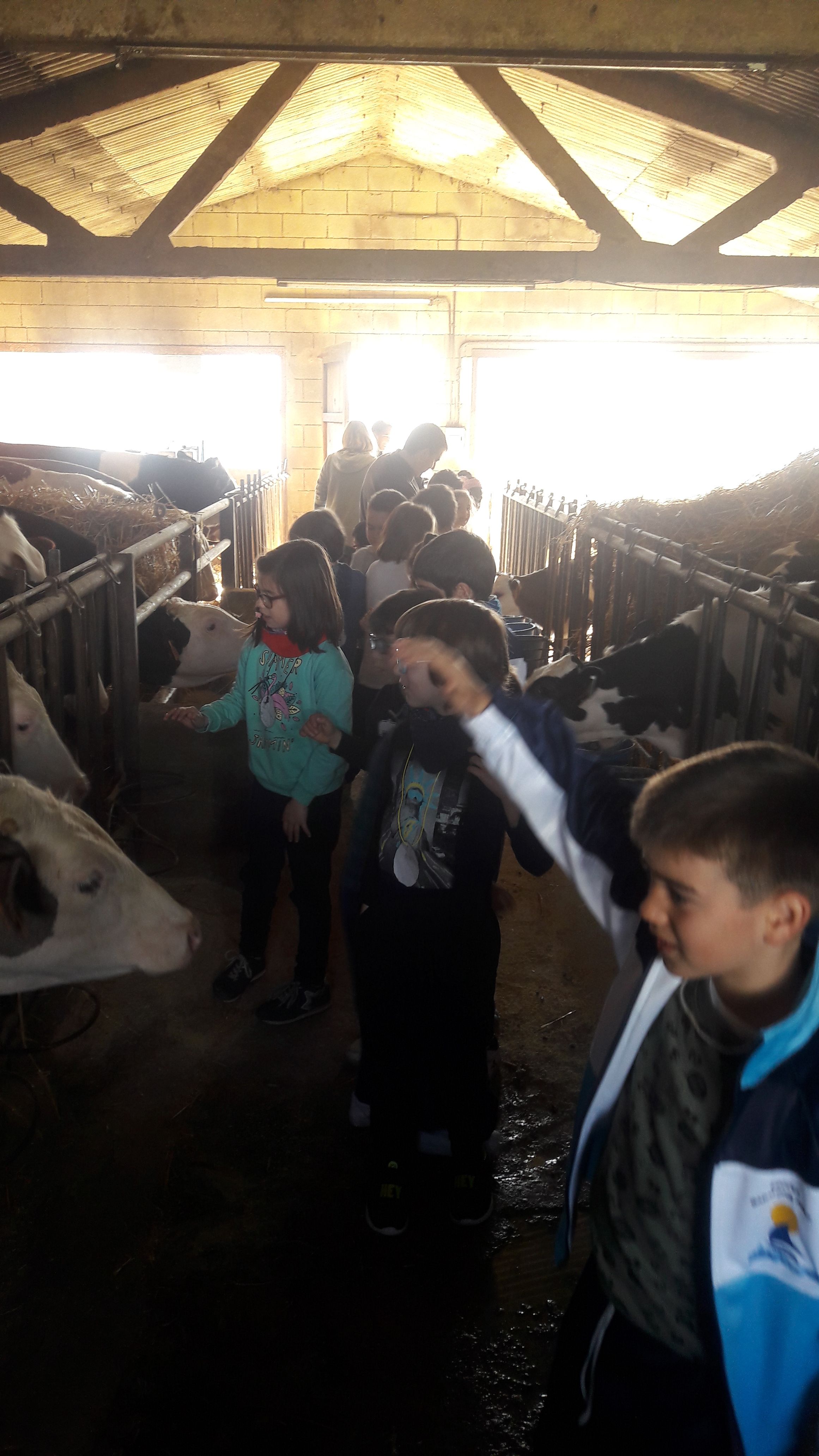 20190307_111710_result