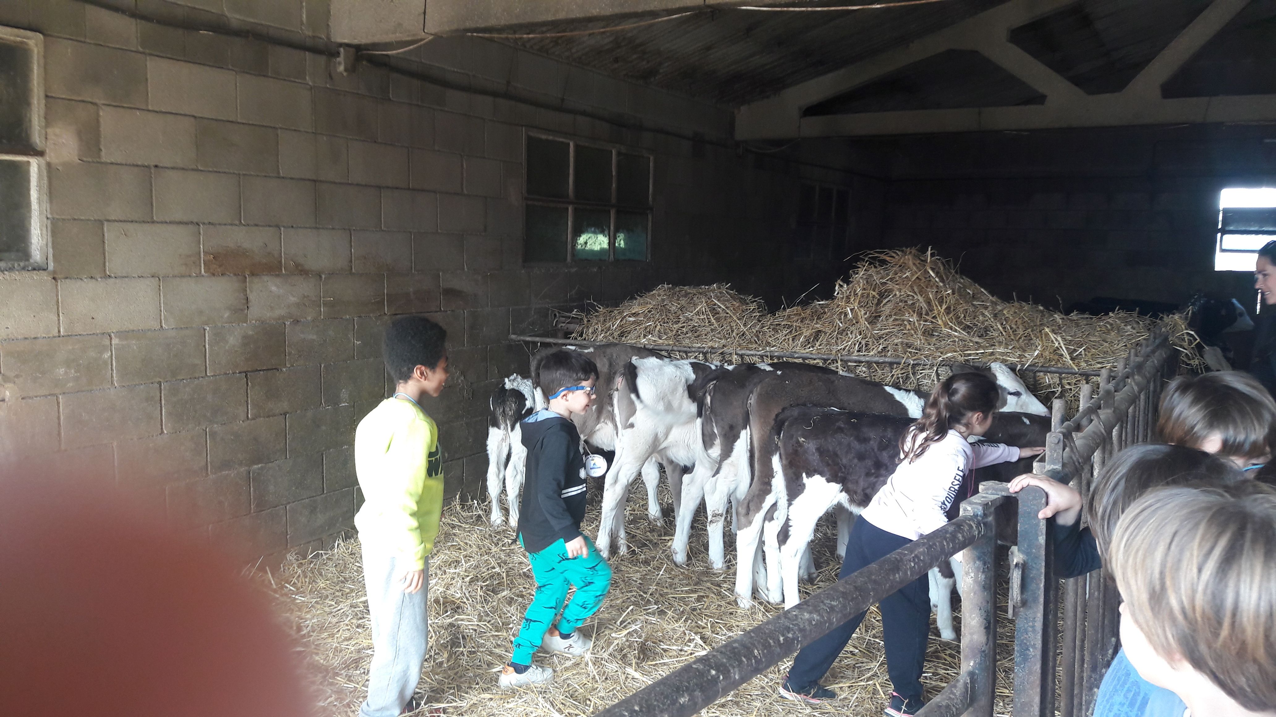 20190307_112240_result