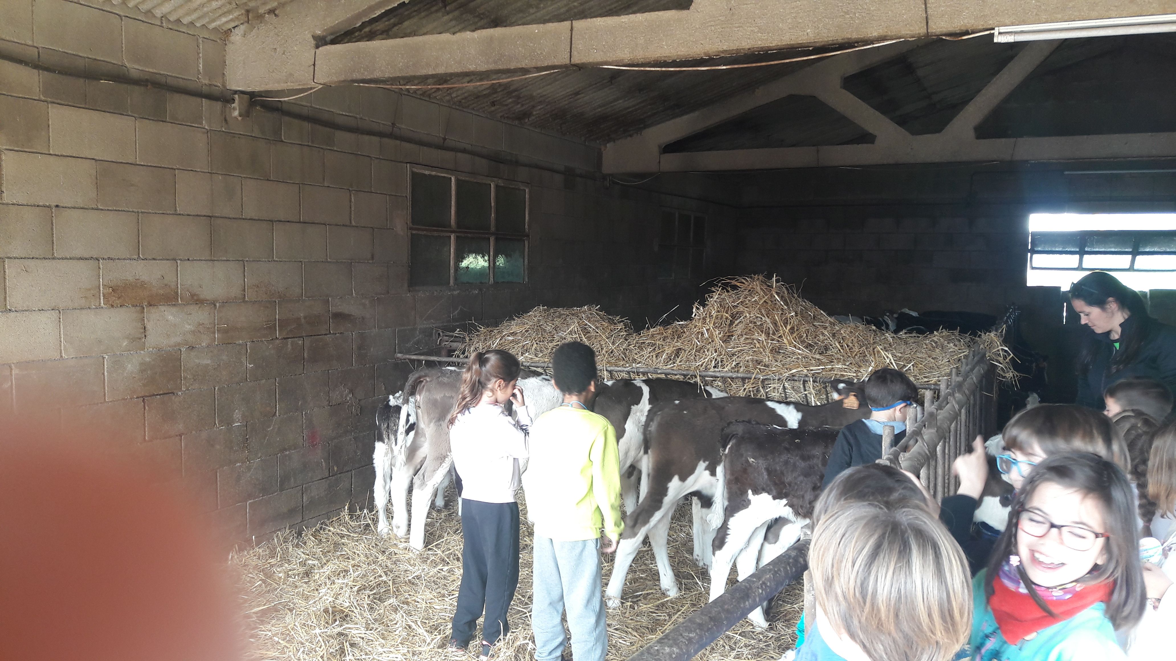 20190307_112248_result