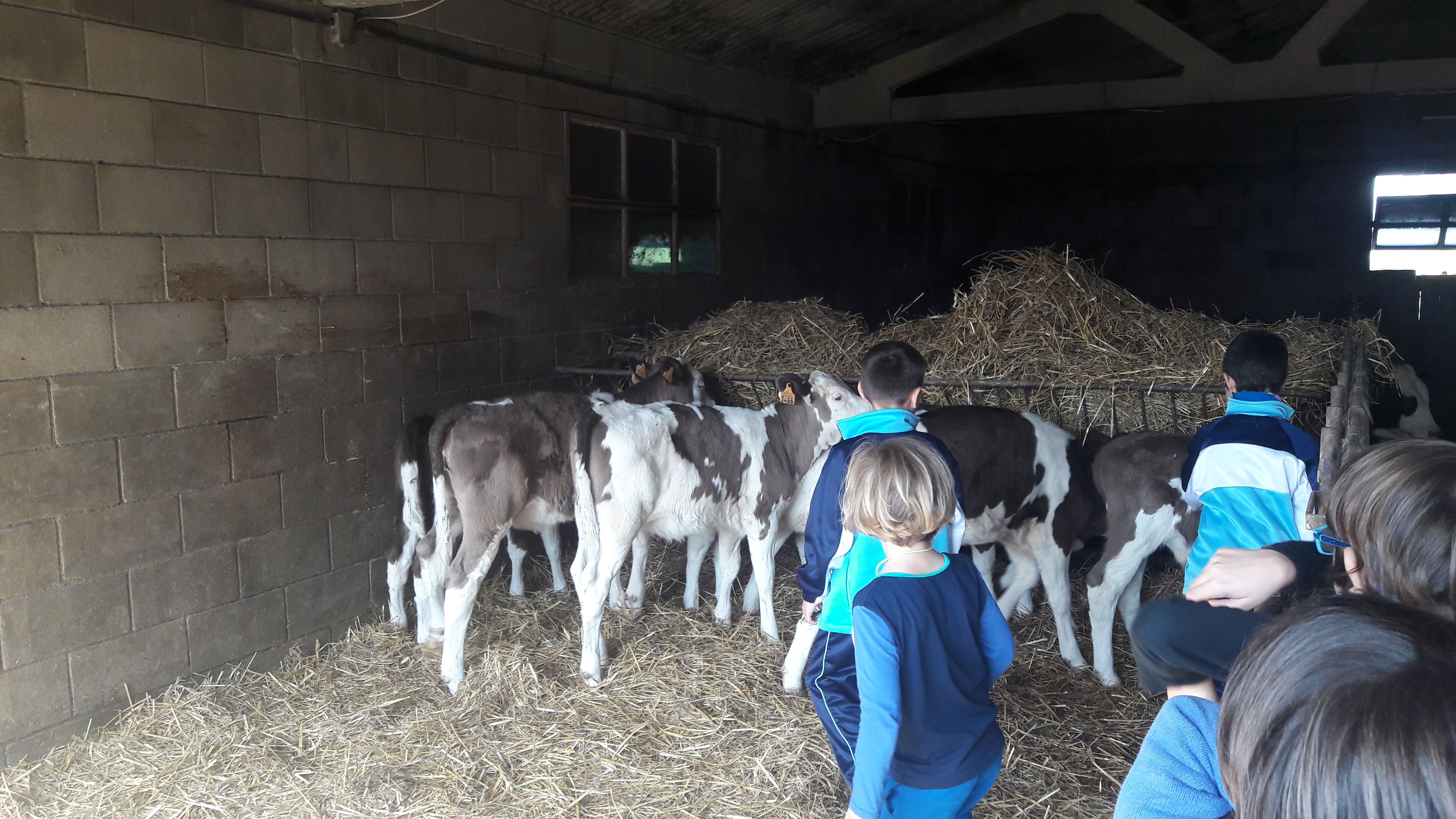 20190307_112419_result