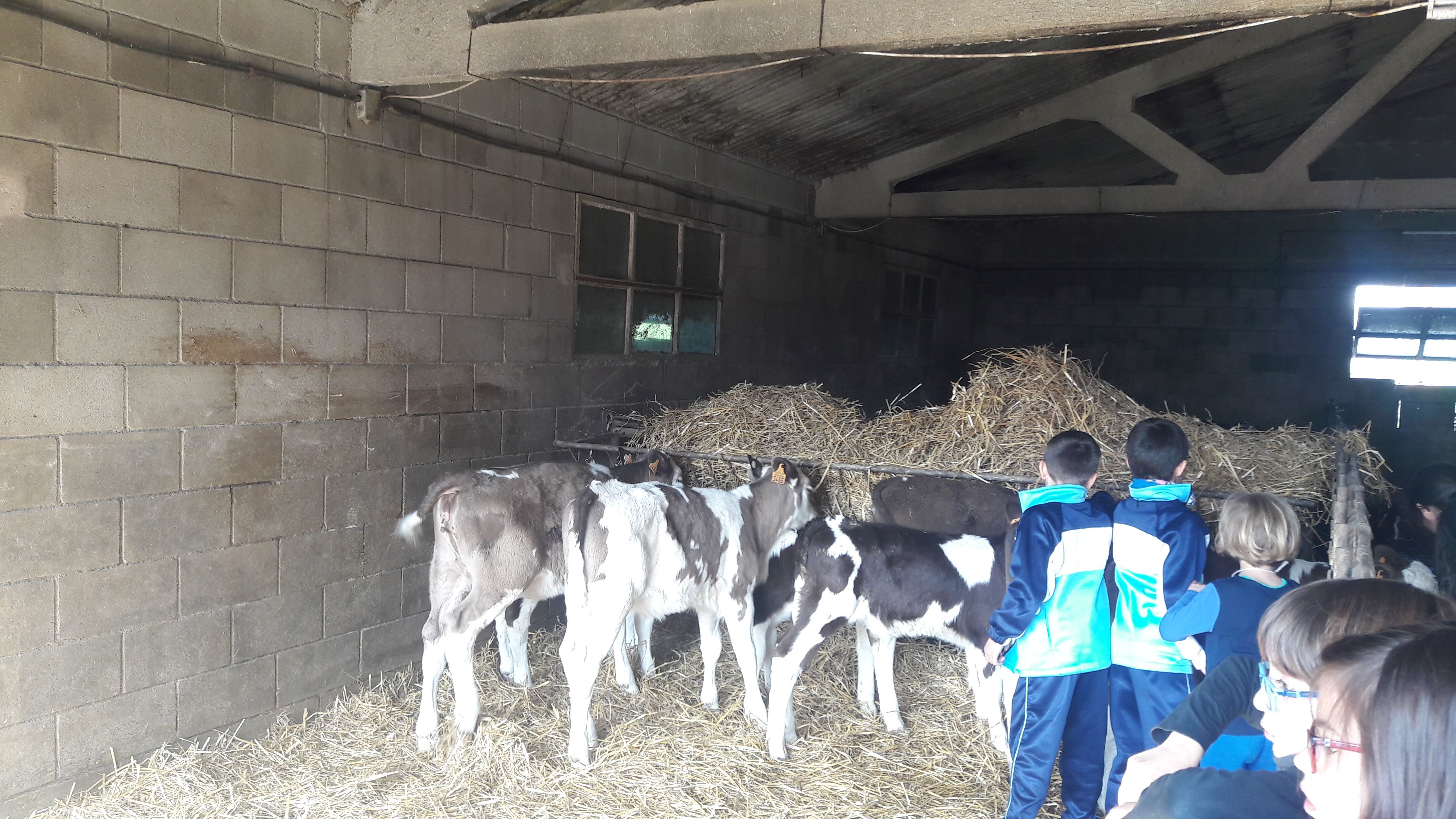 20190307_112426_result