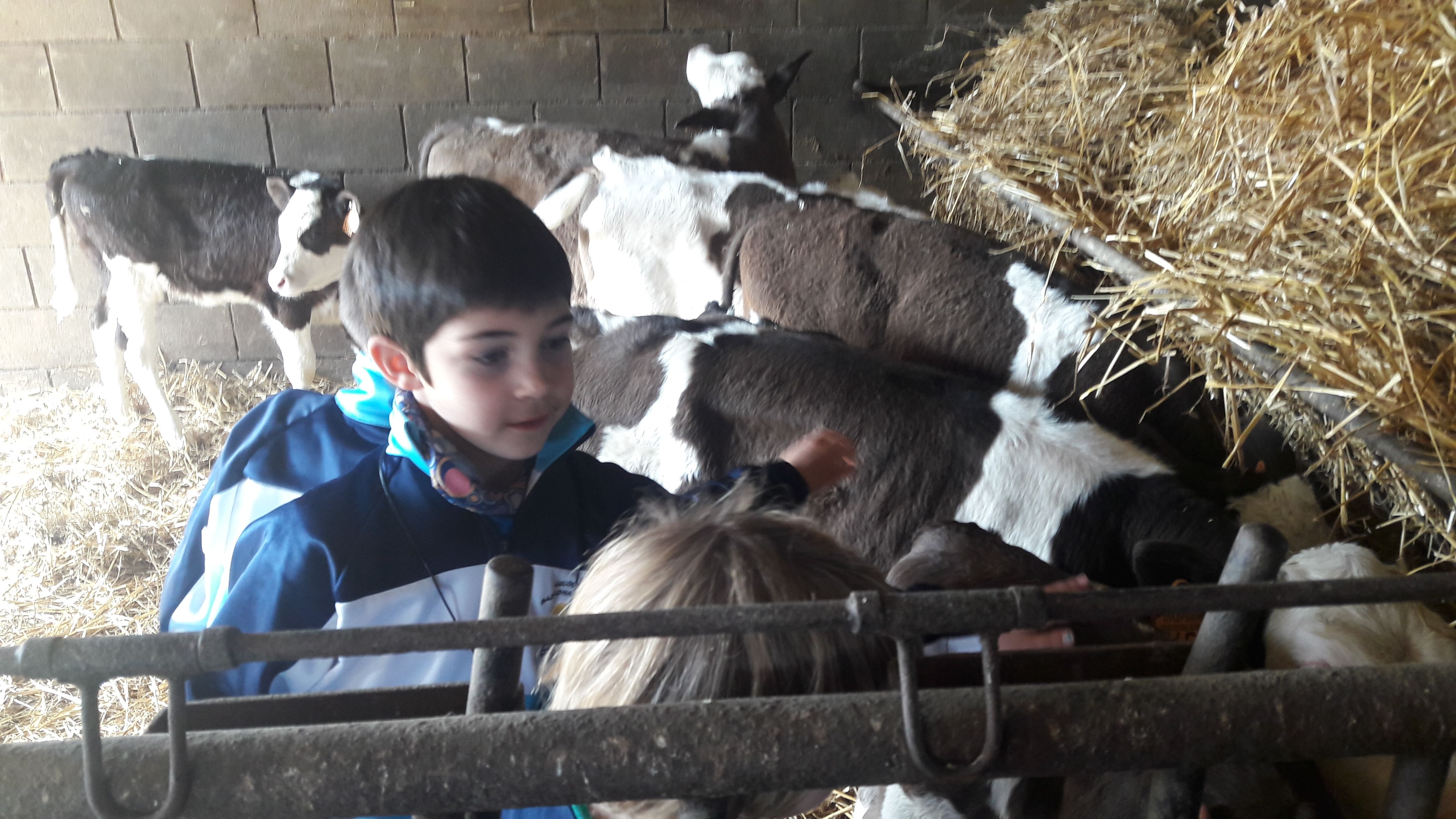 20190307_112438_result