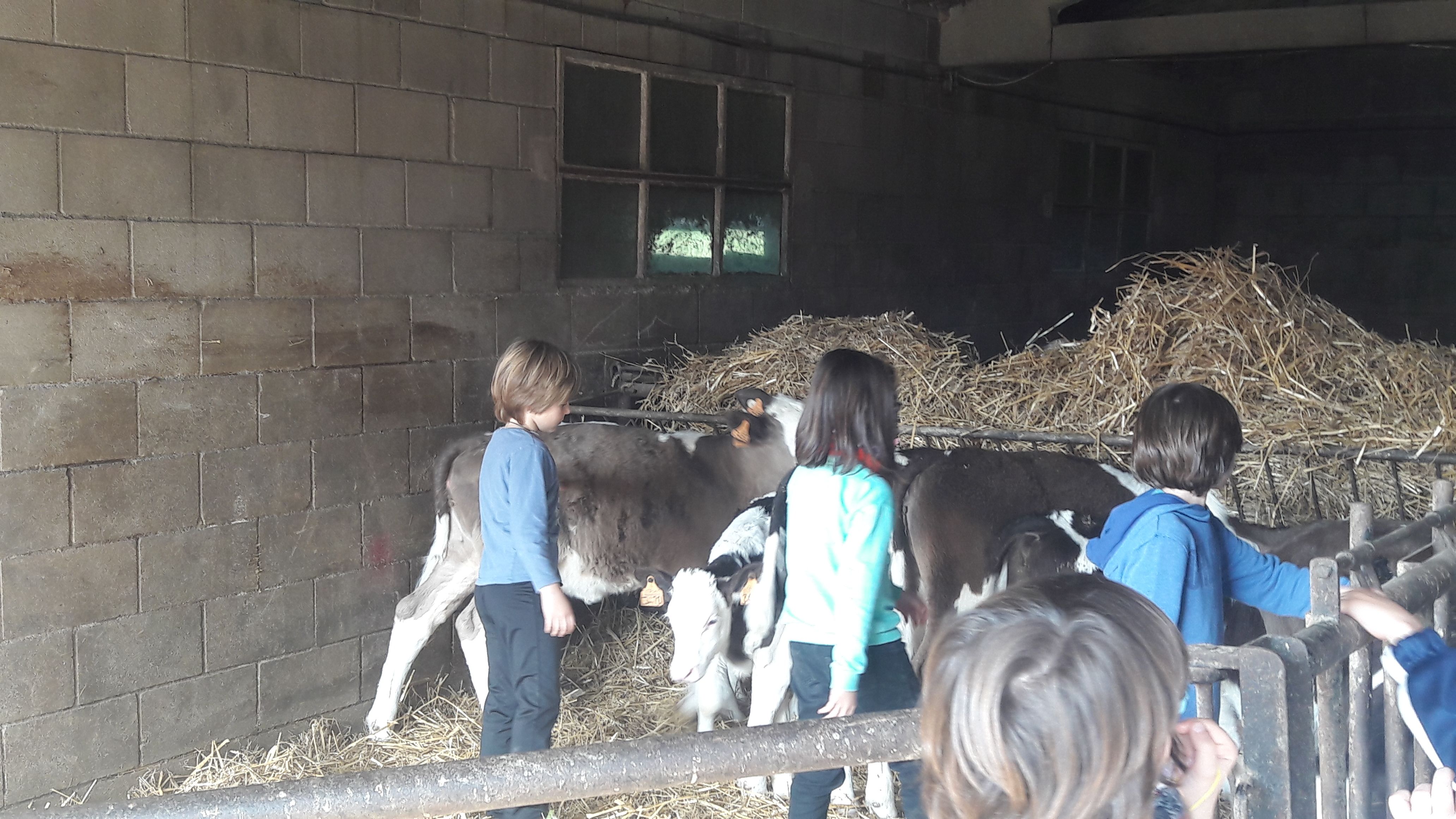 20190307_112536_result