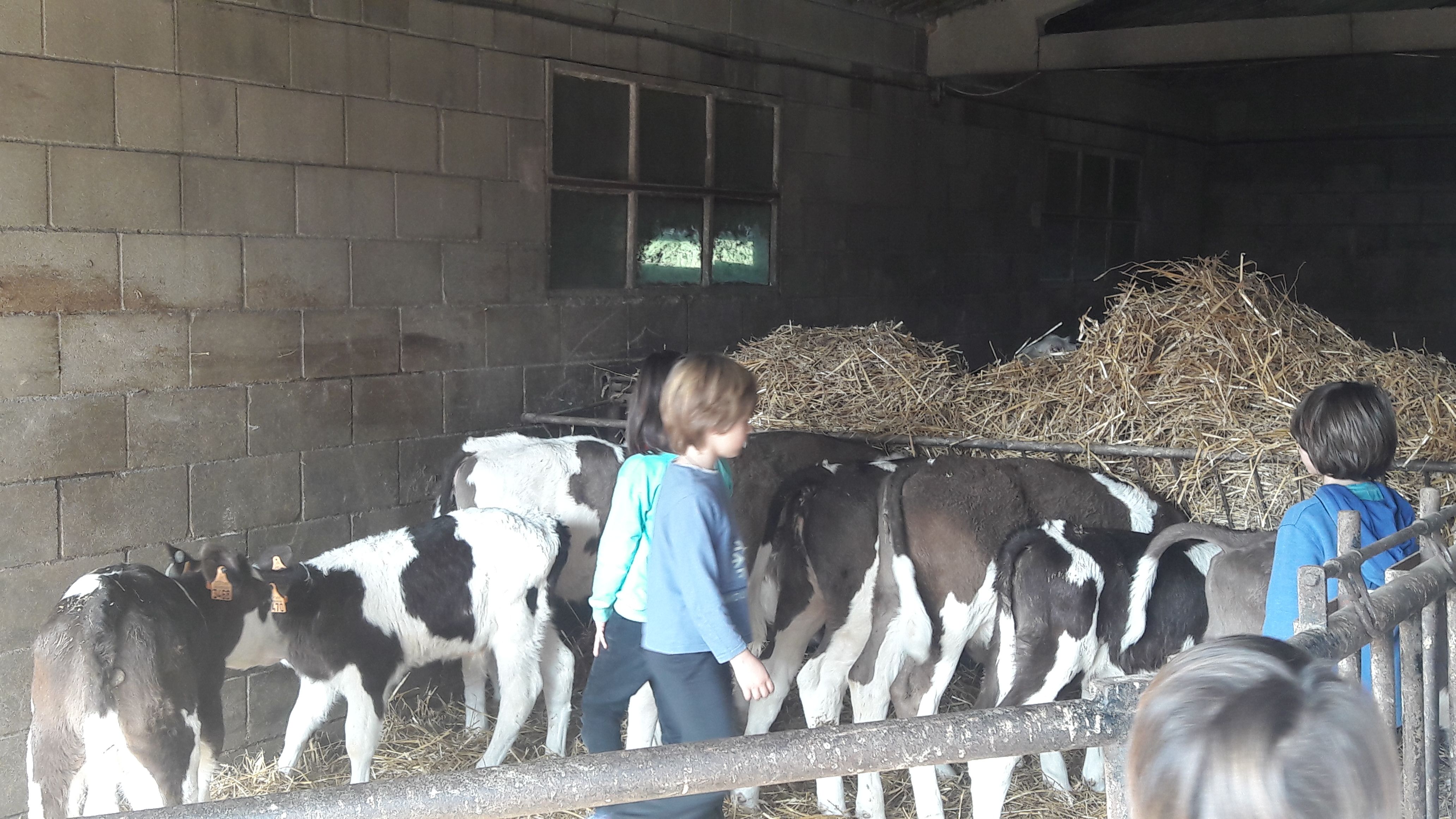 20190307_112540_result