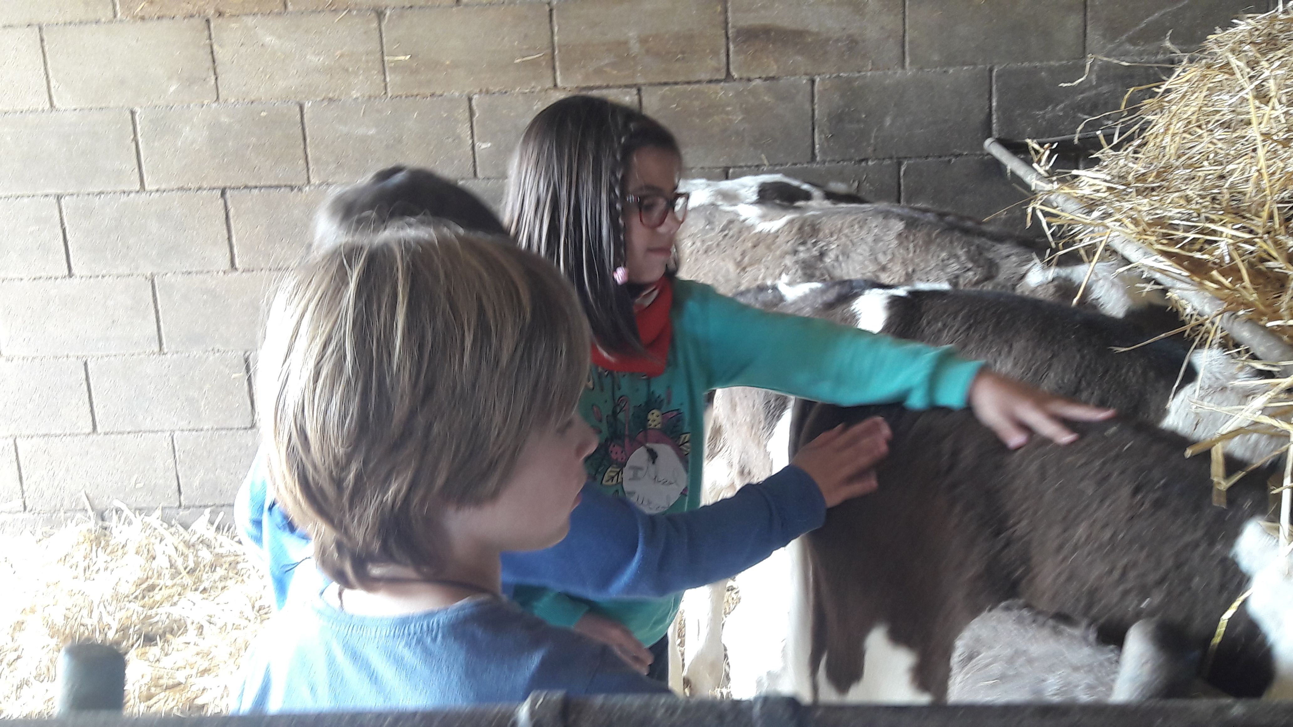 20190307_112553_result