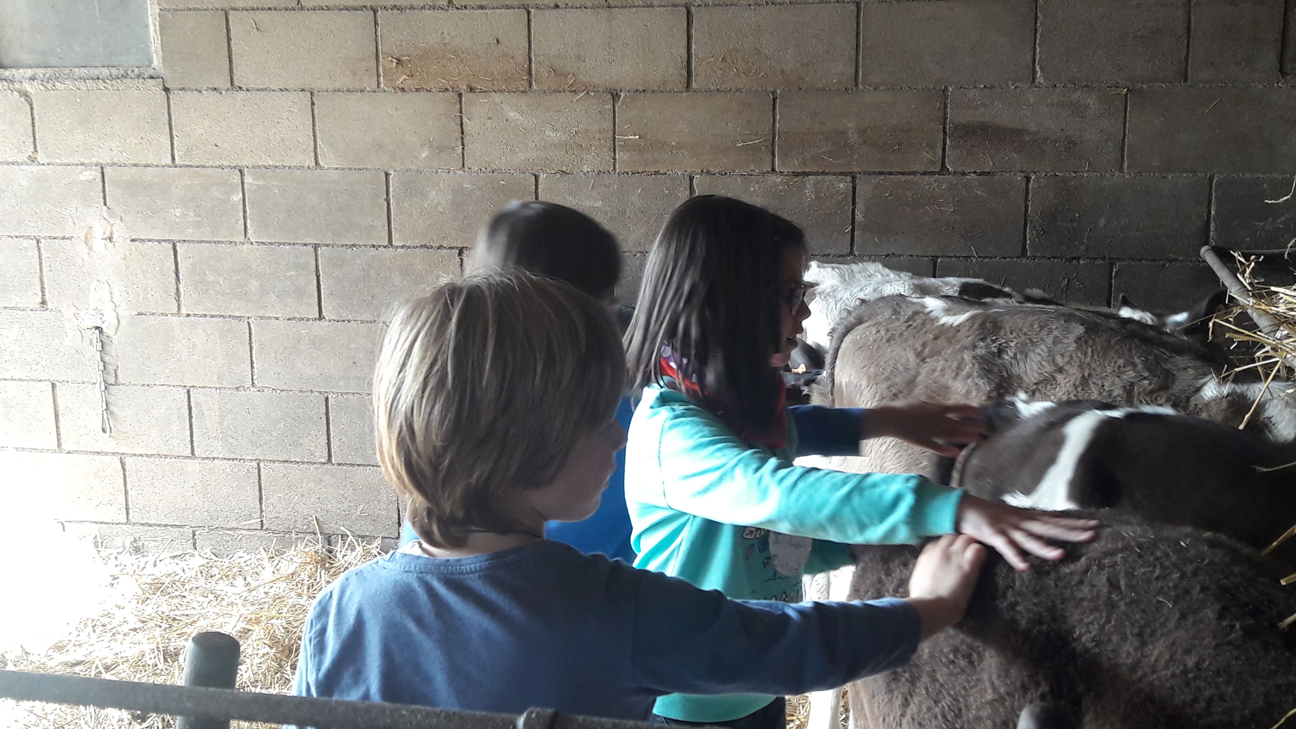 20190307_112556_result