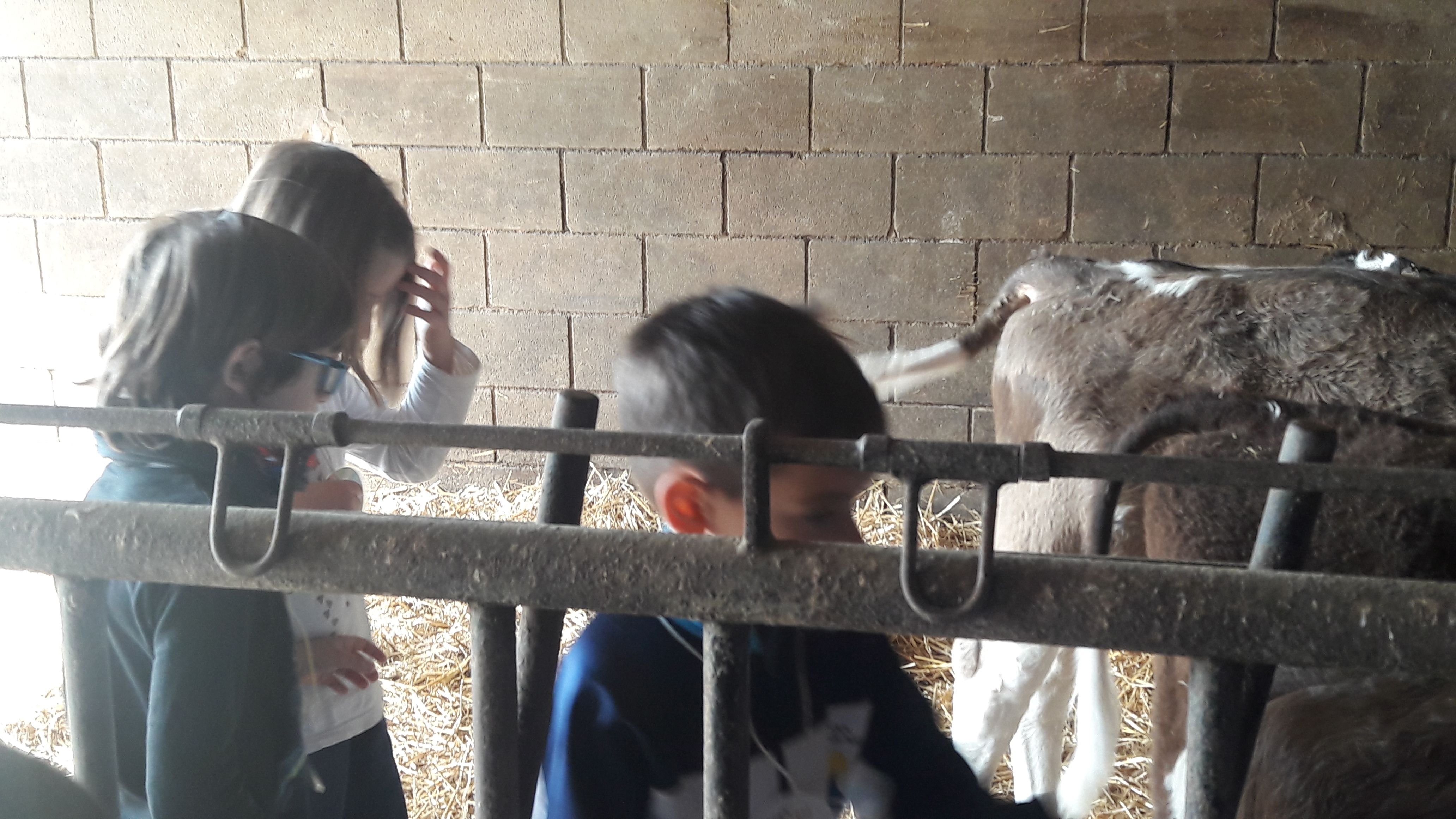 20190307_112703_result