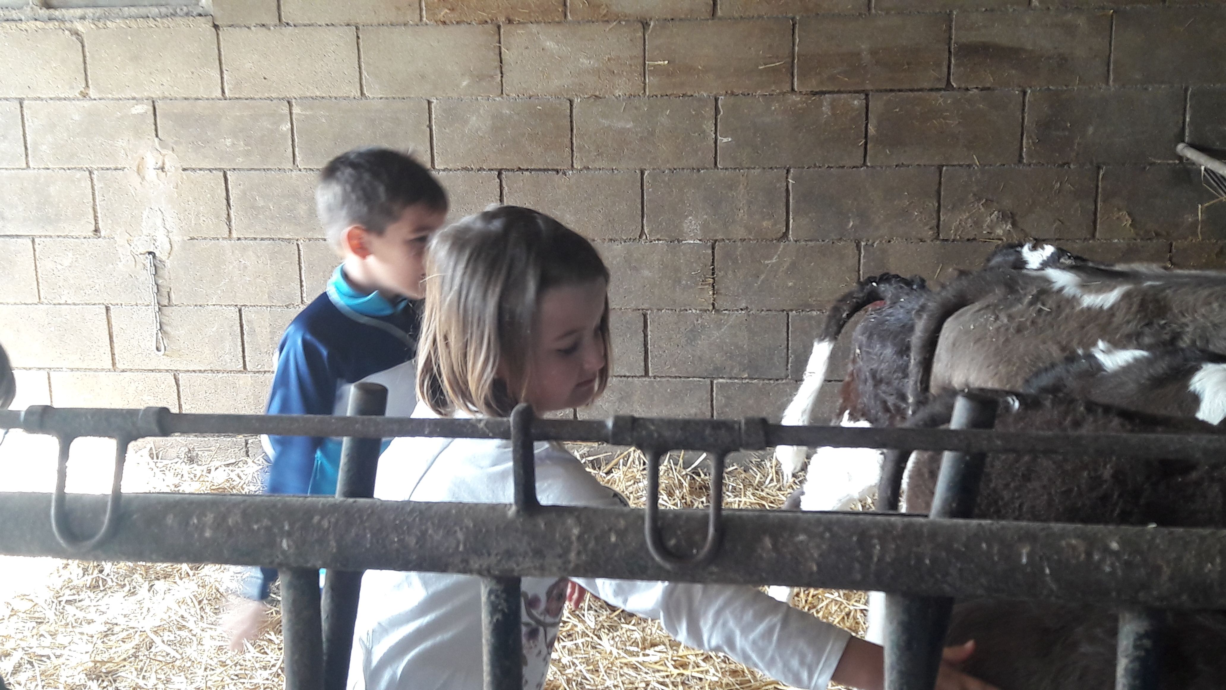 20190307_112713_result