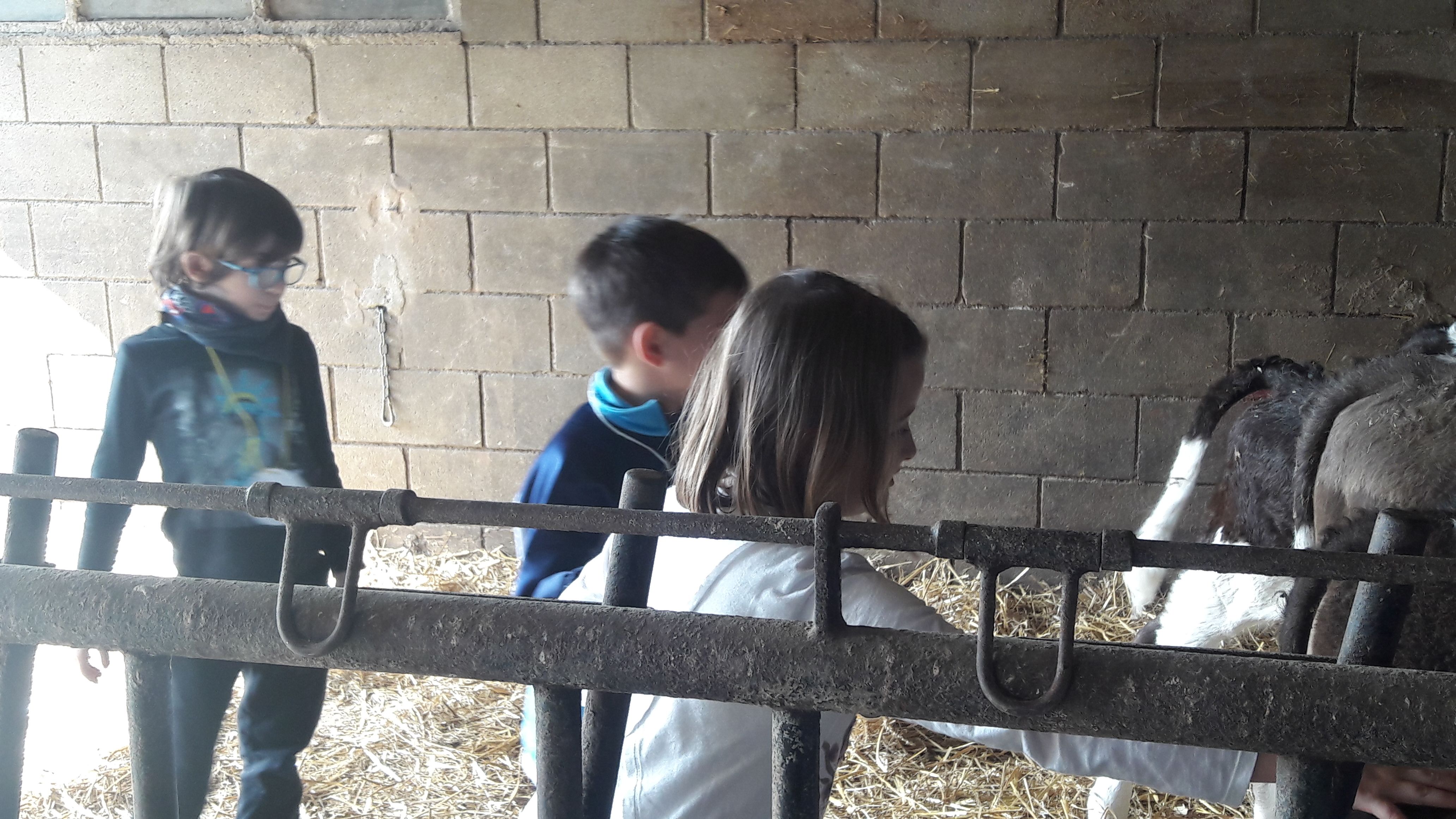 20190307_112718_result