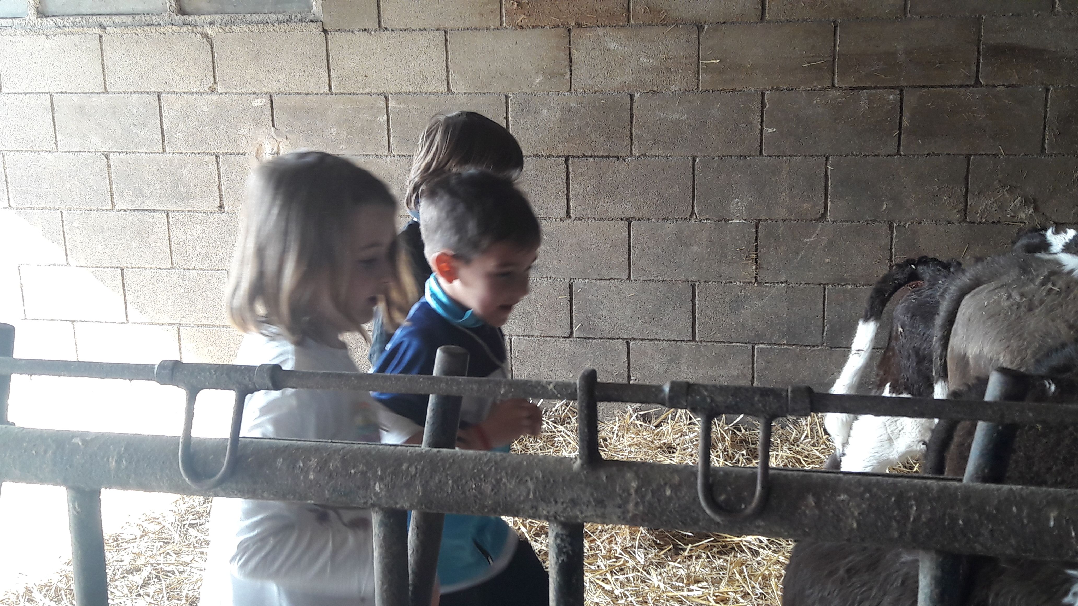 20190307_112720_result