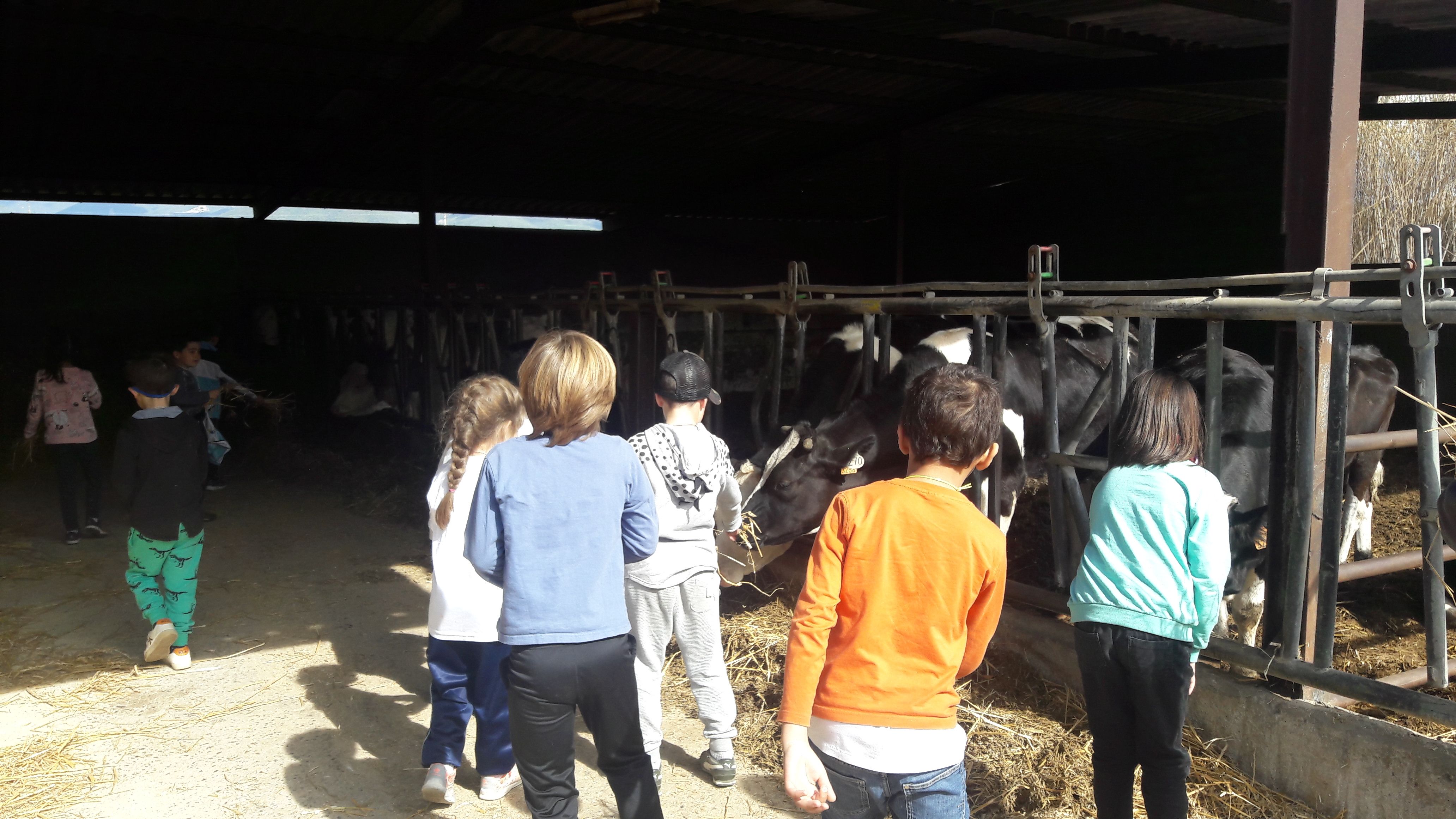 20190307_113354_result