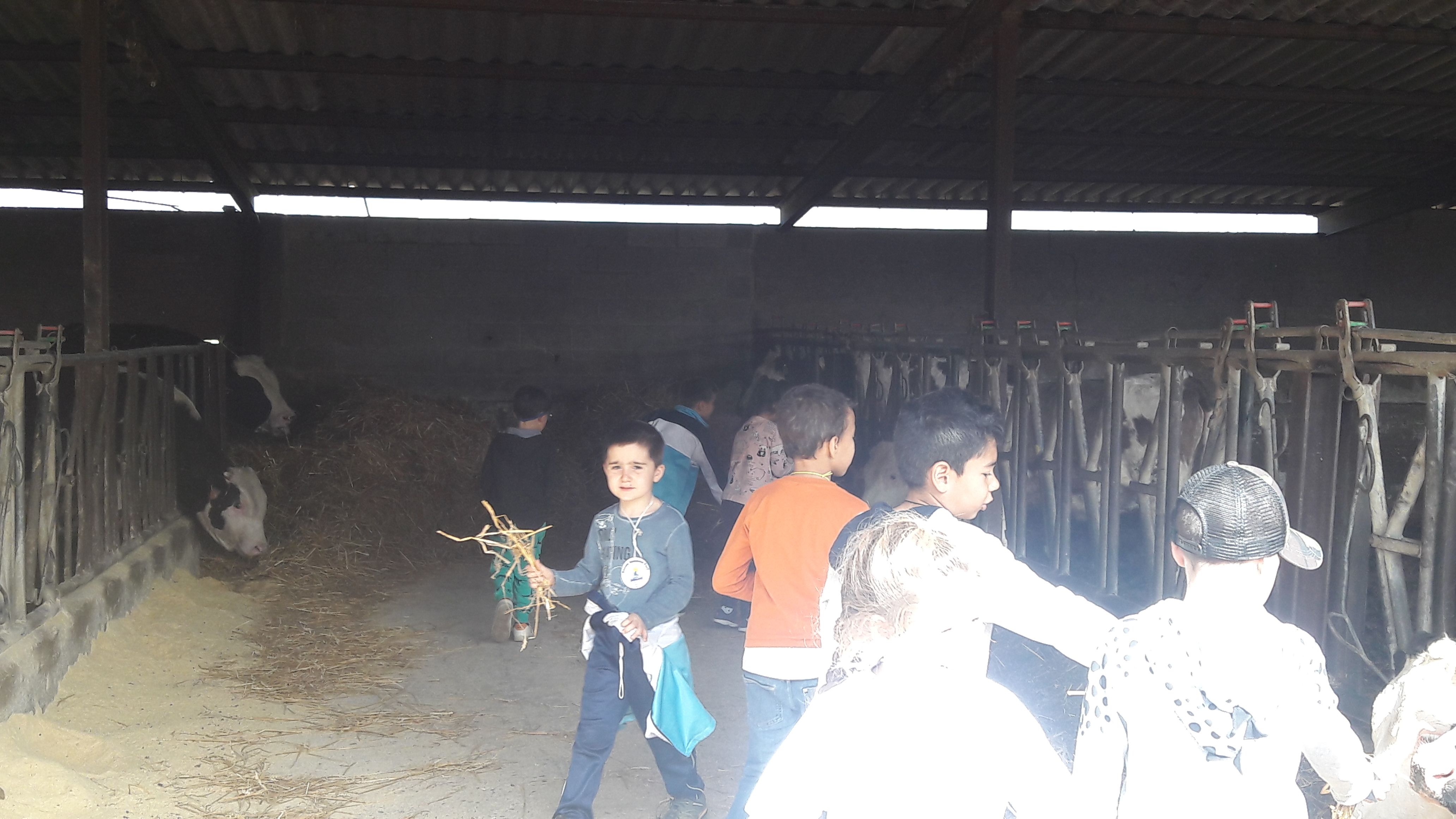 20190307_113358_result