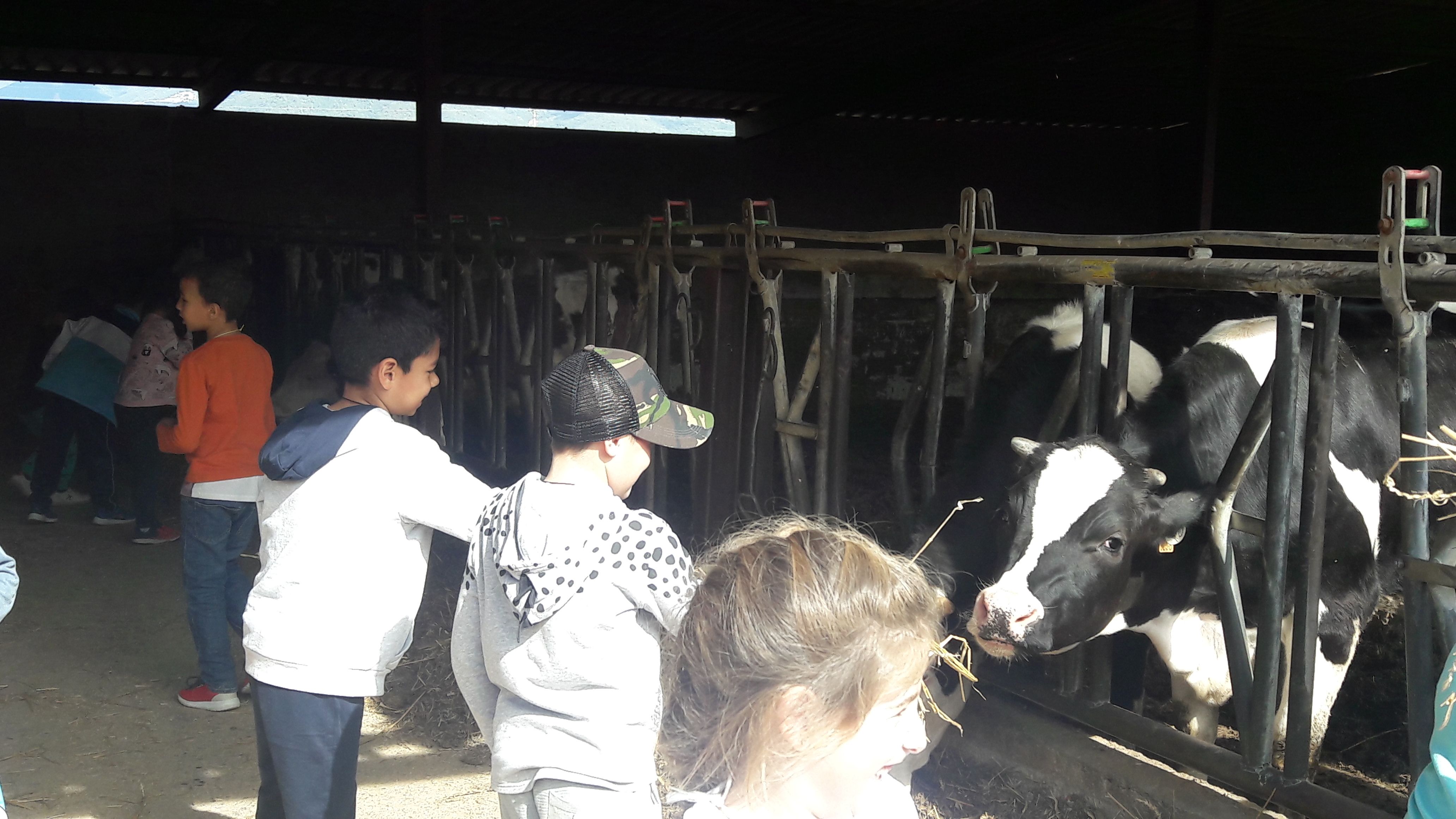 20190307_113400_result