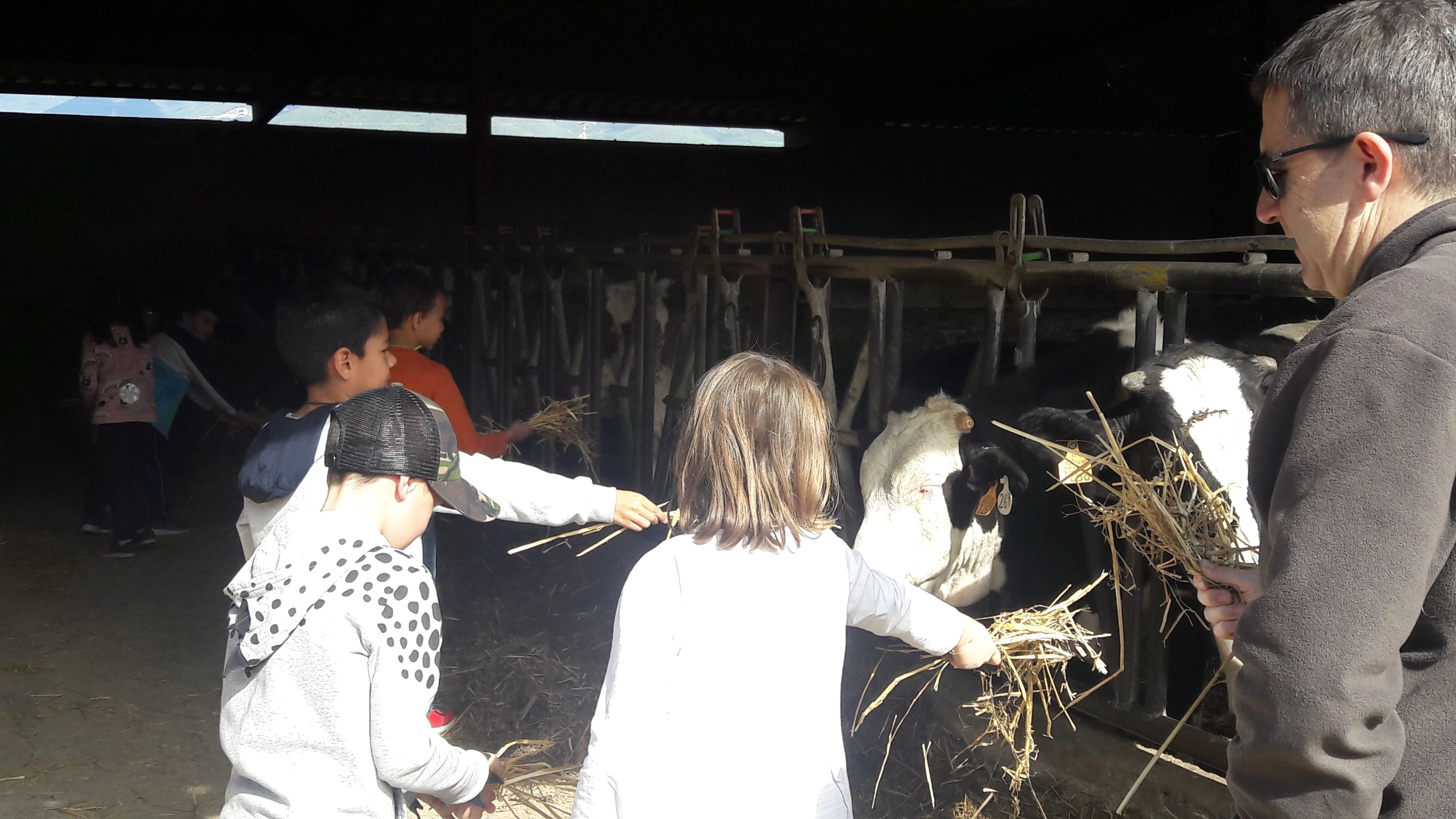 20190307_113403_result