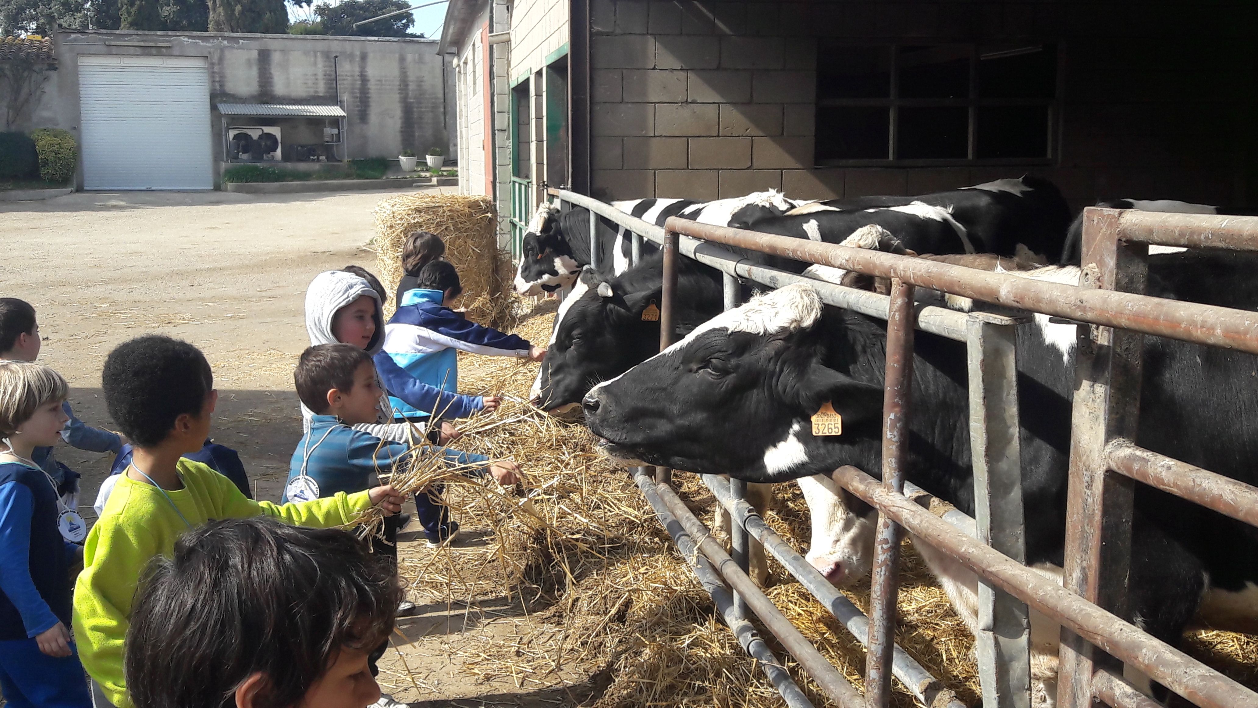 20190307_113410_result