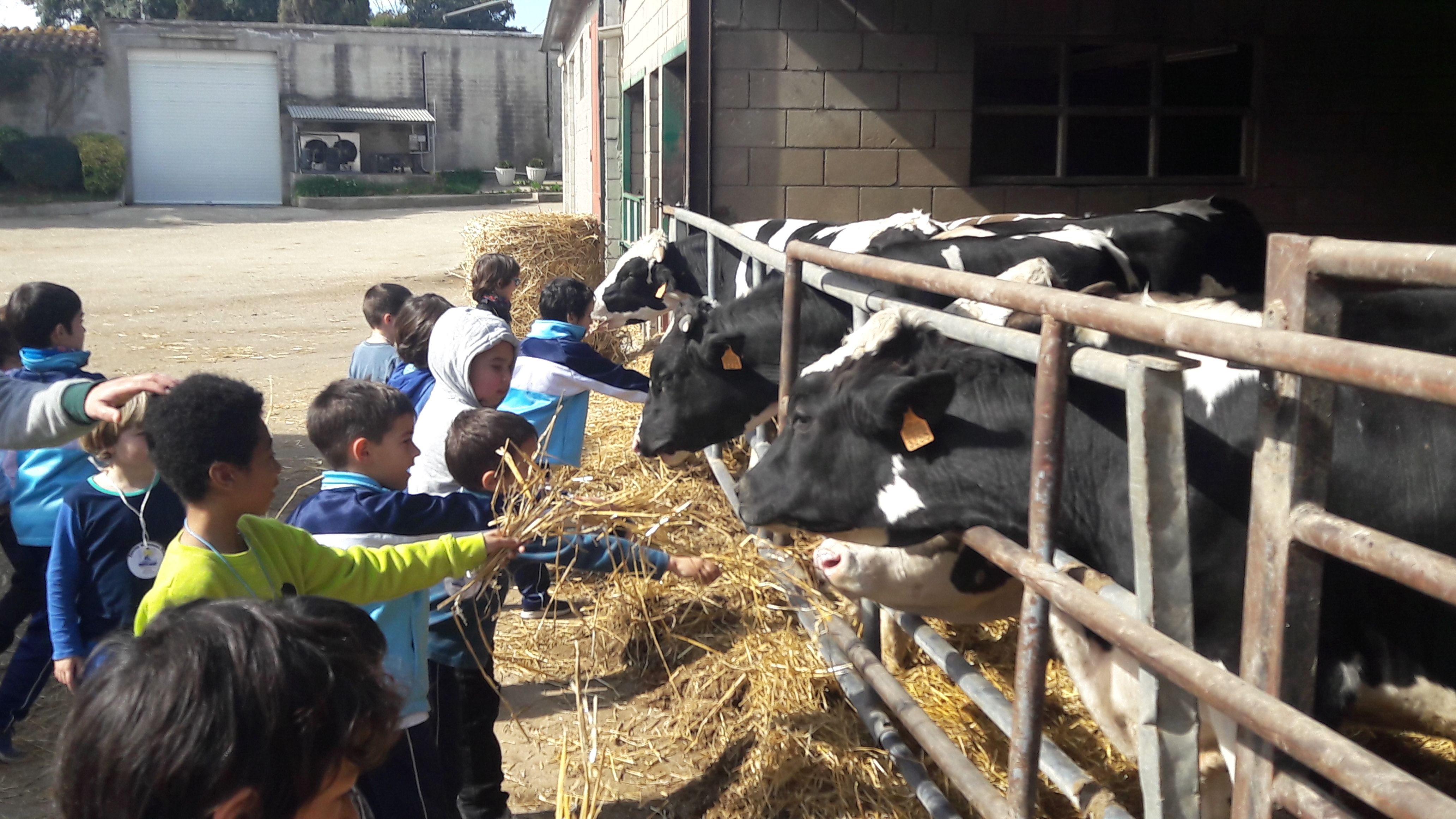 20190307_113412_result