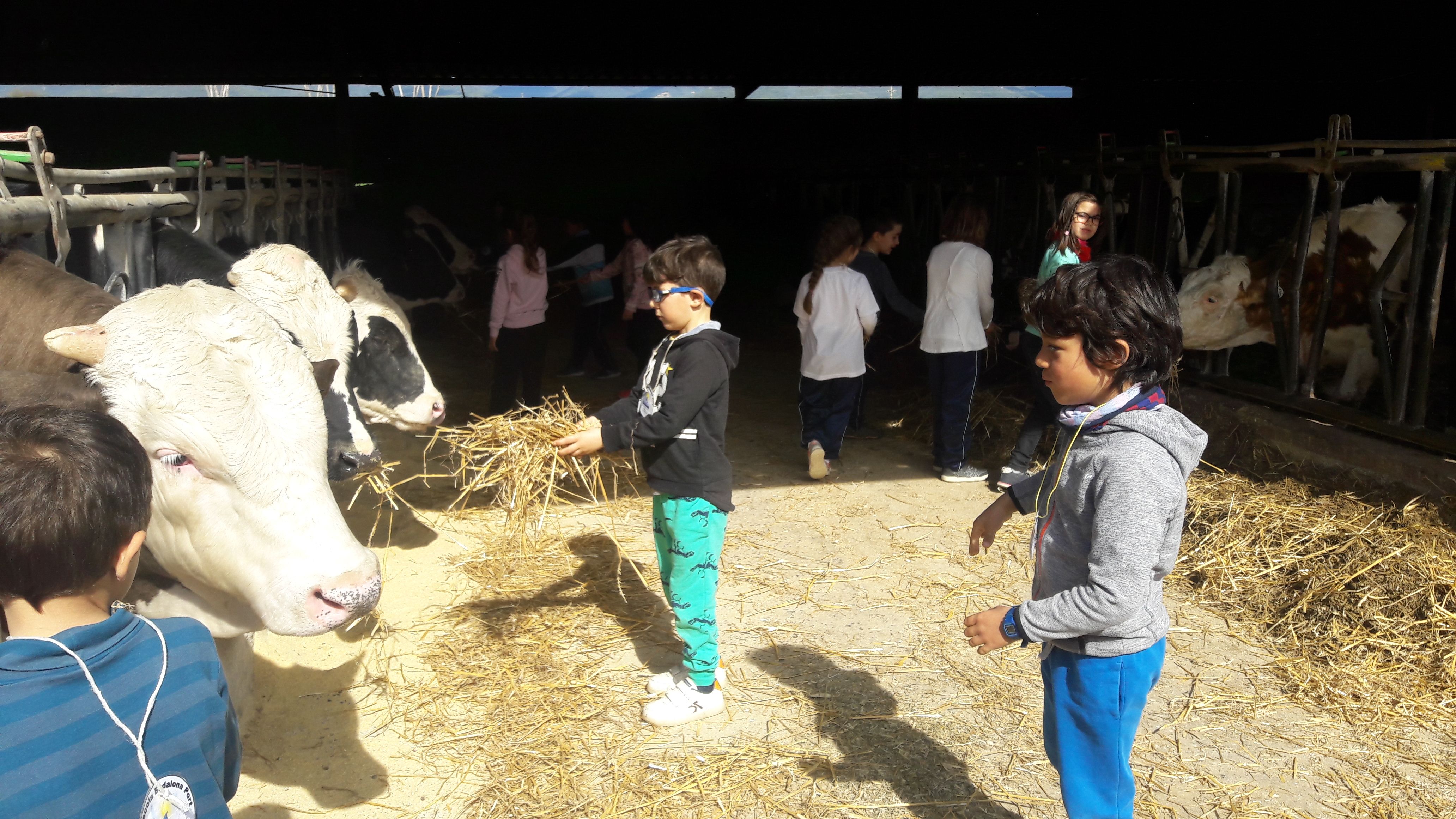 20190307_113800_result