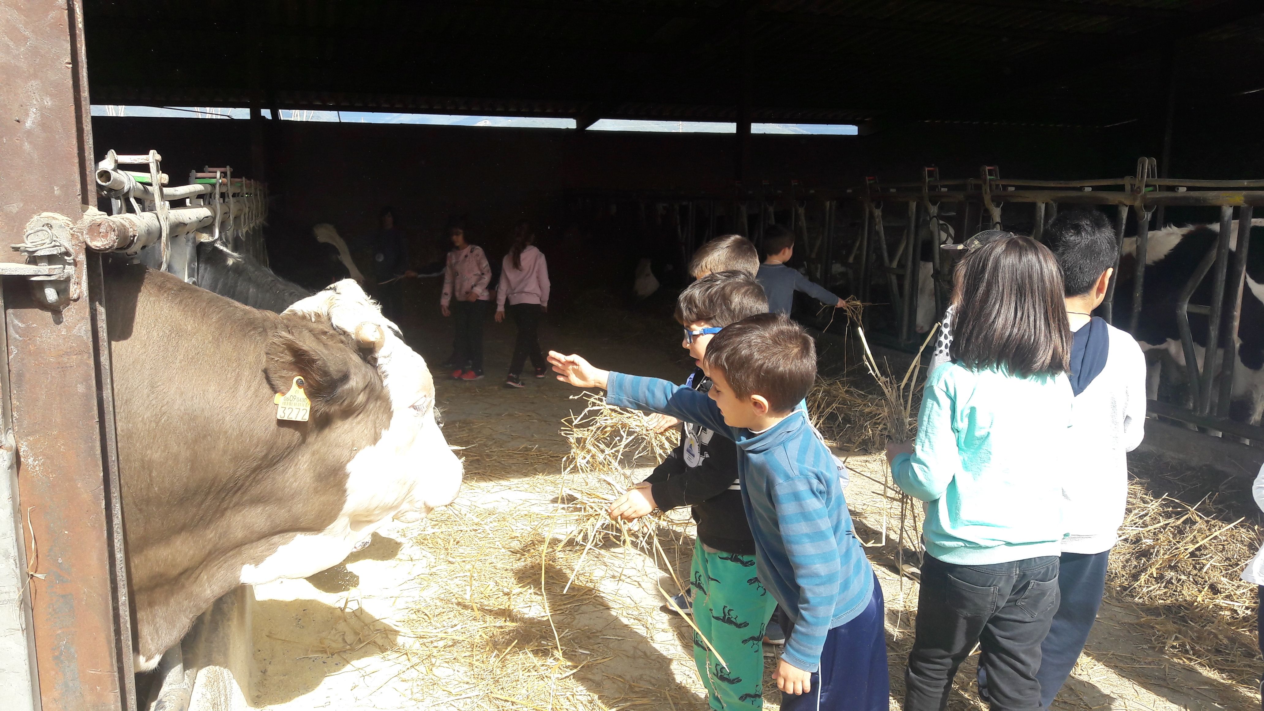 20190307_113813_result