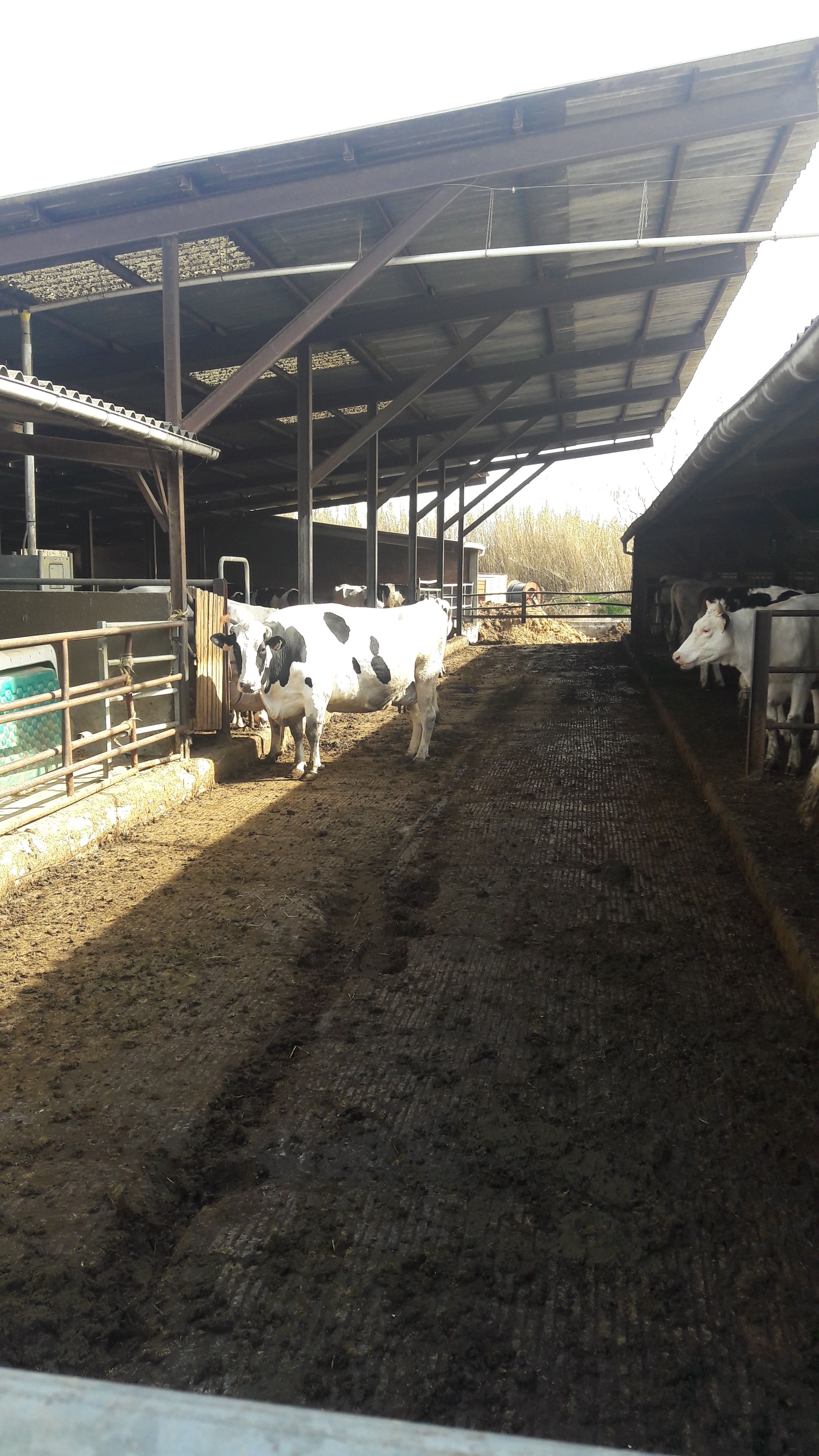 20190307_114633_result