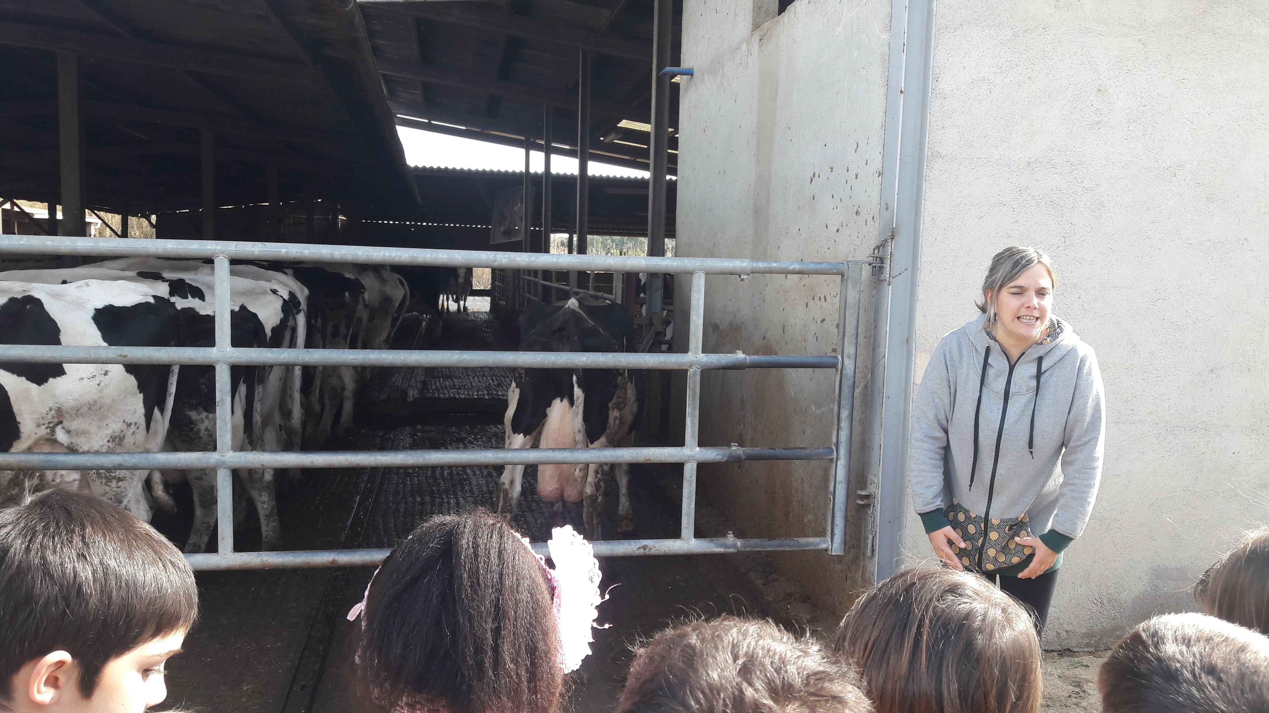 20190307_114705_result