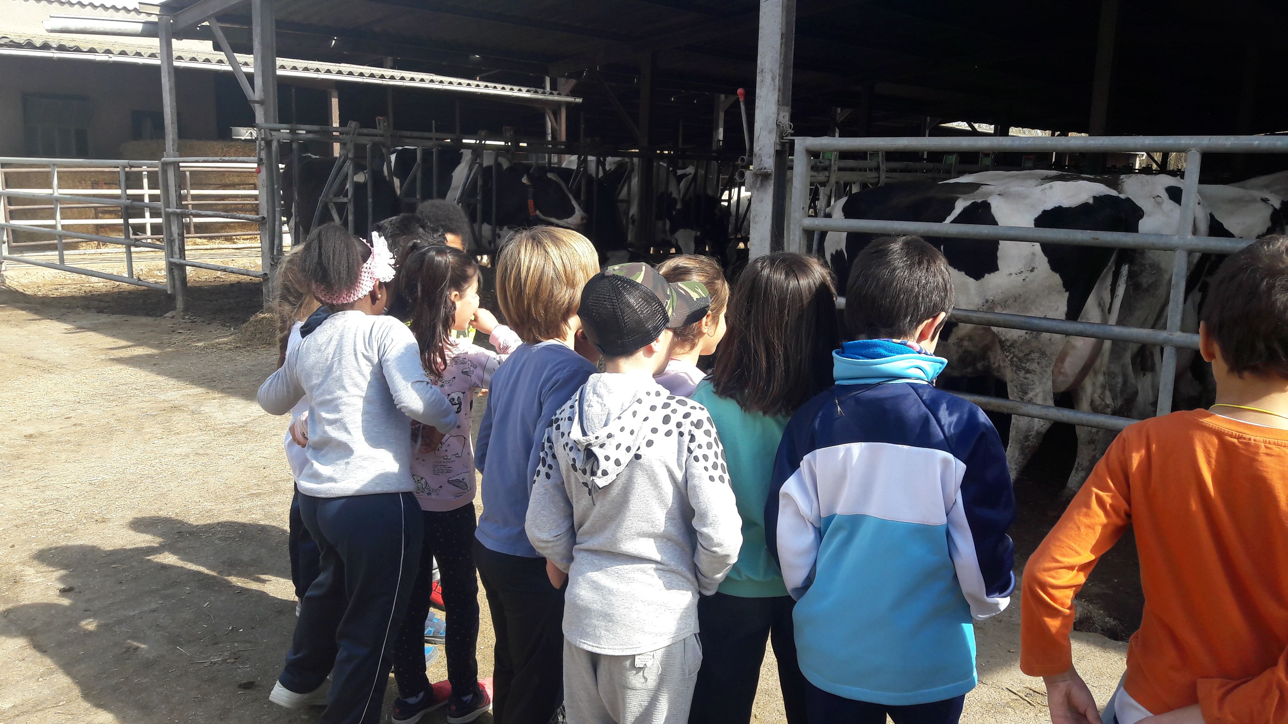 20190307_114818_result