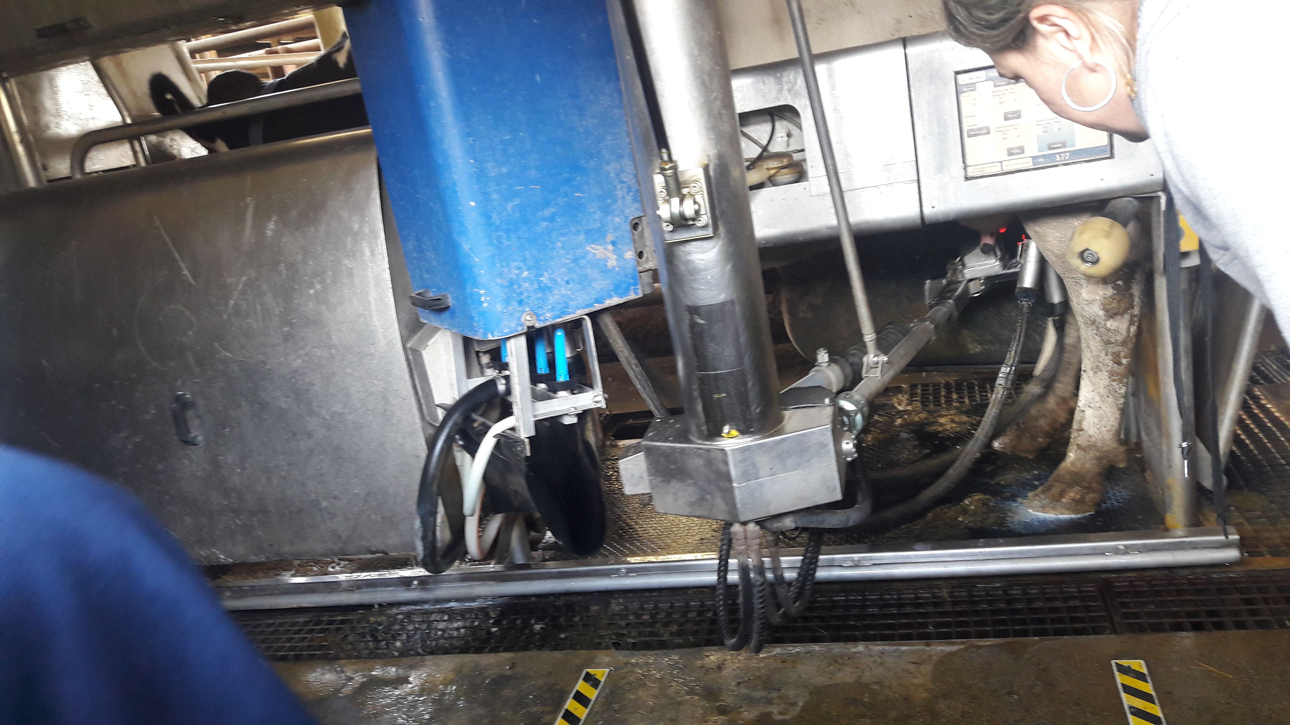 20190307_115401_result