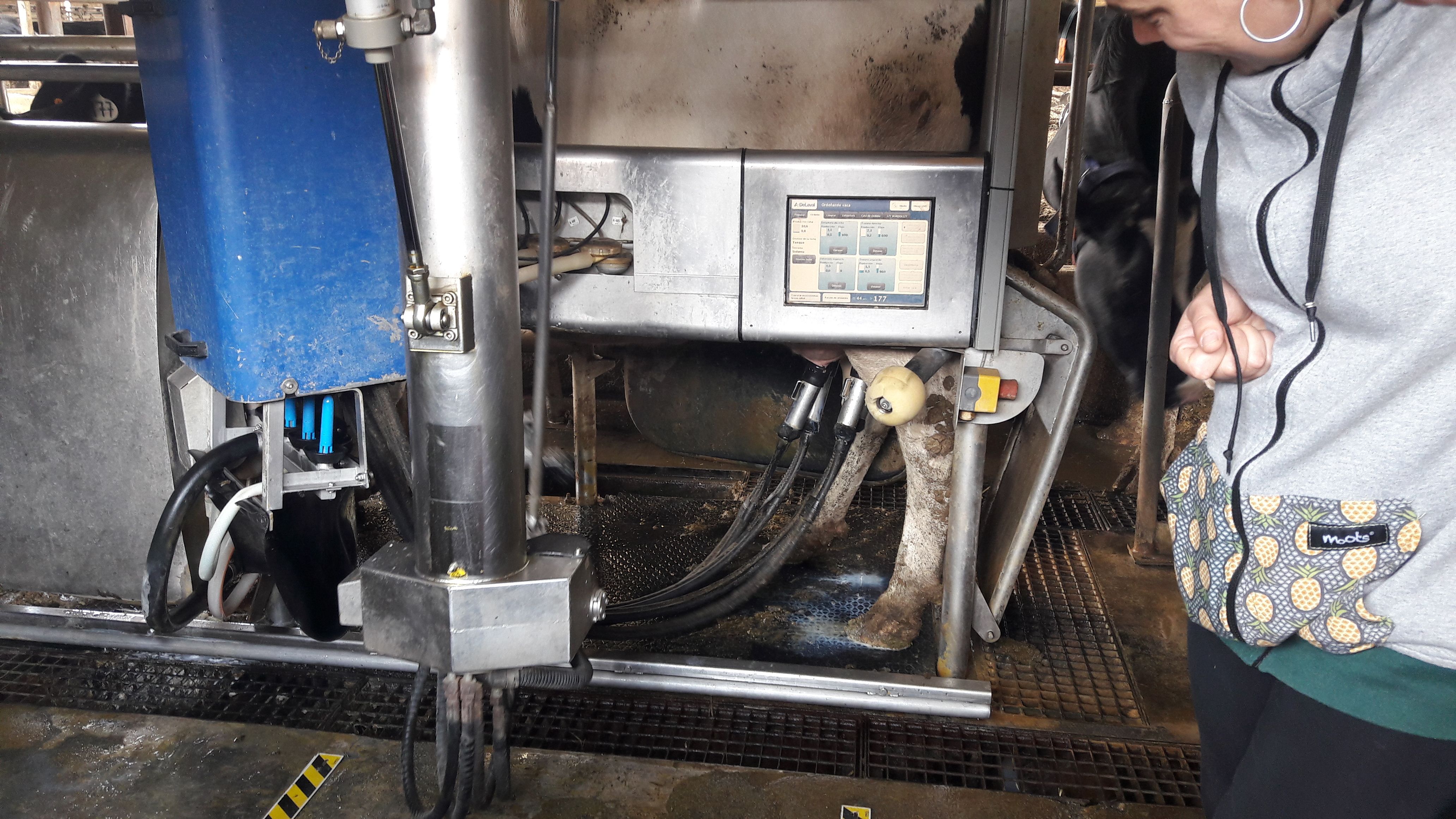 20190307_115433_result