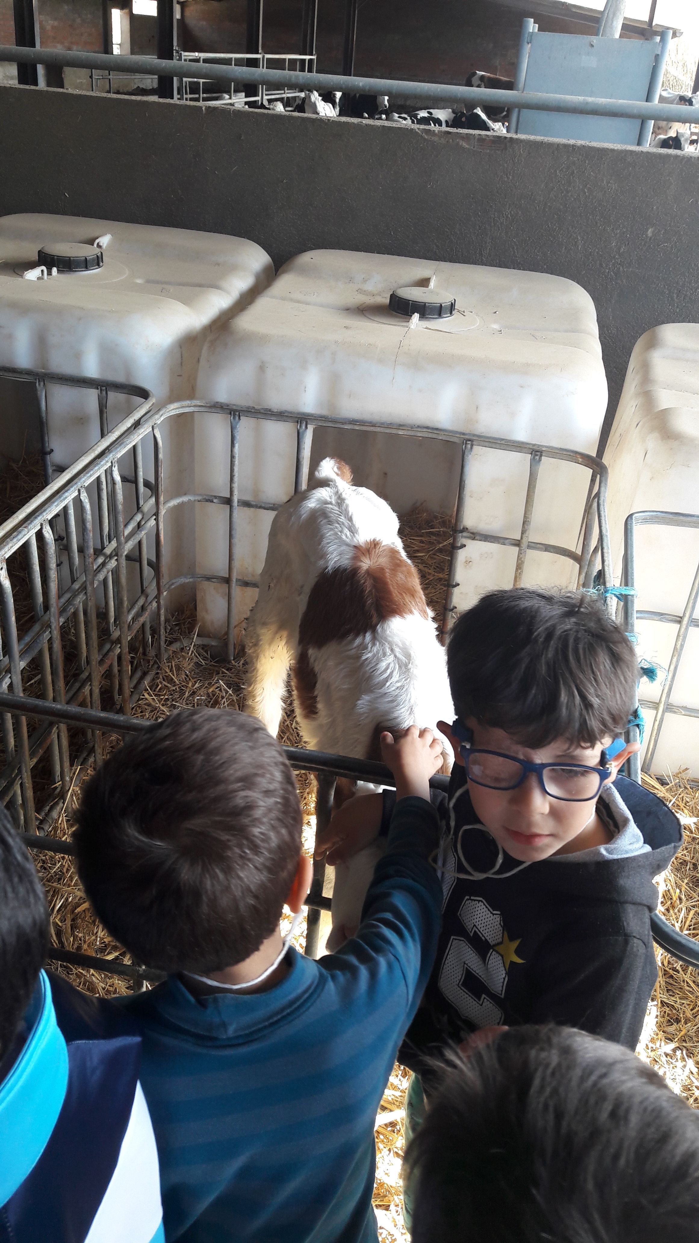 20190307_120038_result