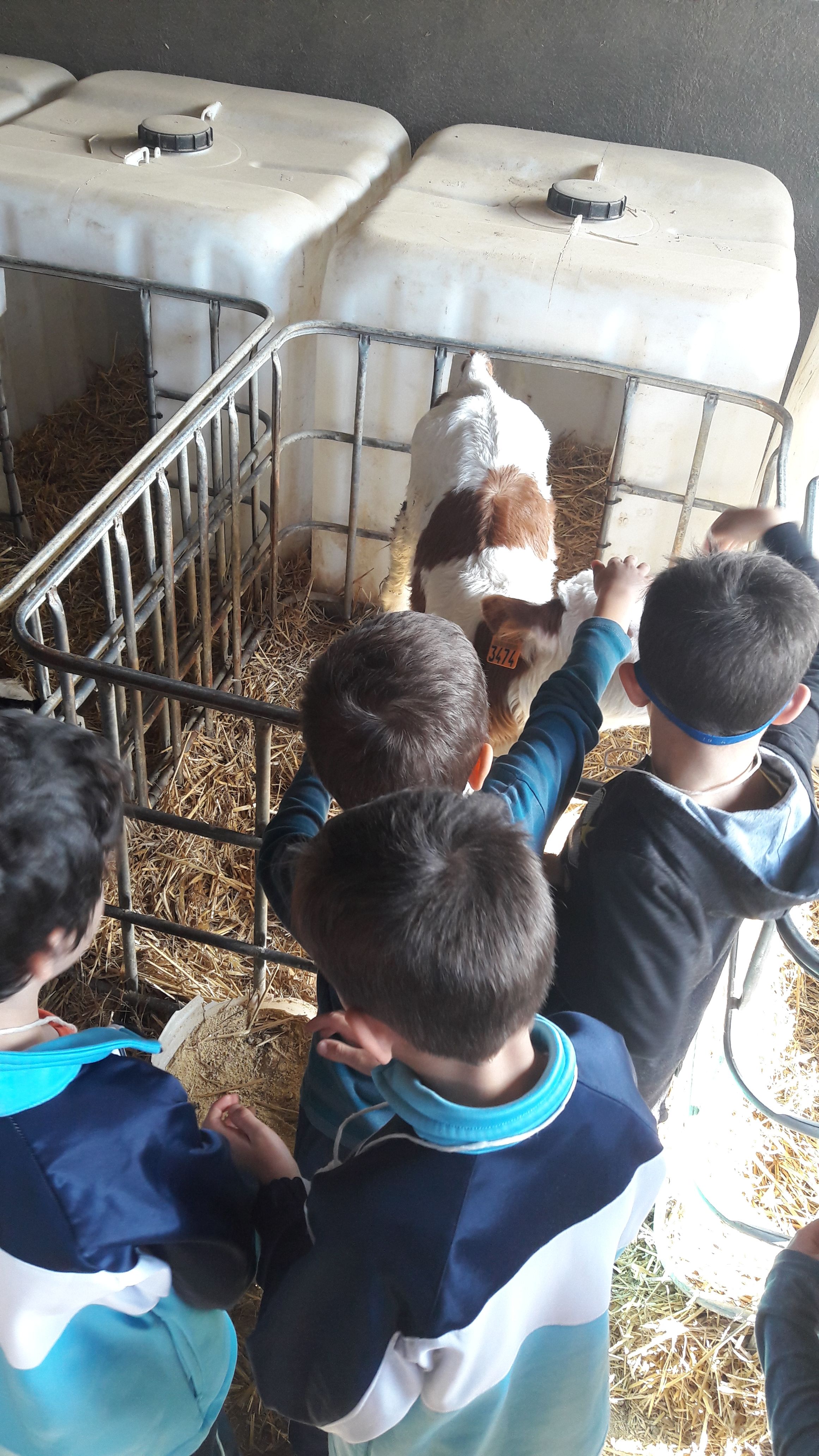 20190307_120041_result