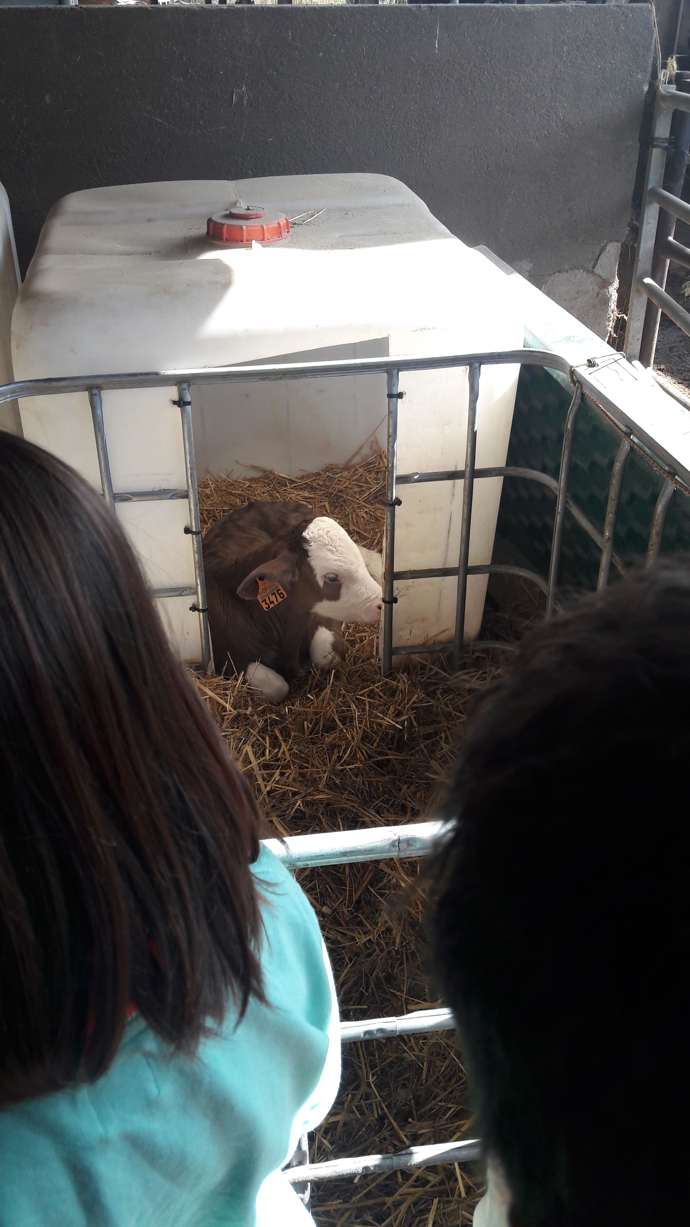 20190307_120050_result