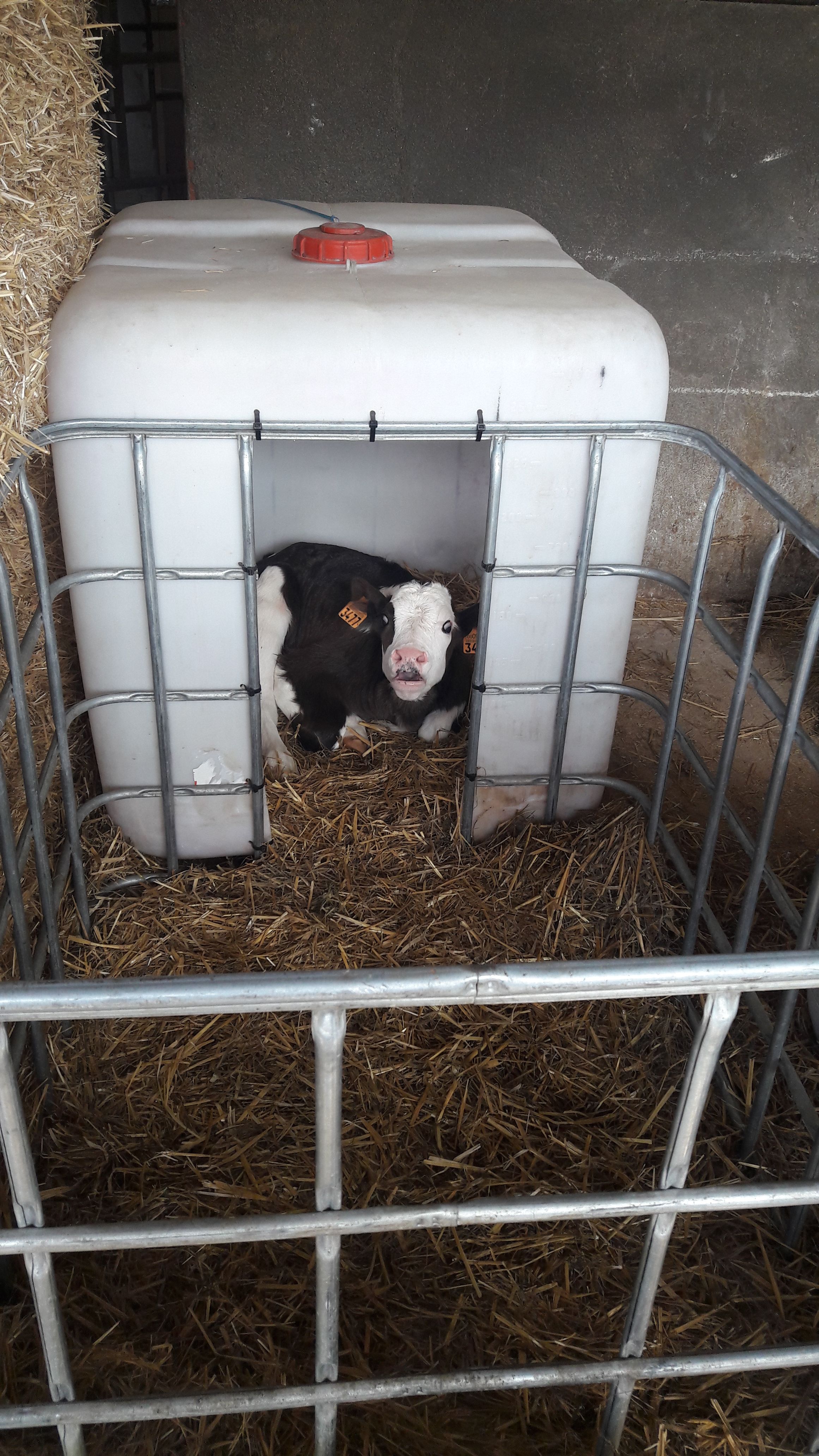 20190307_120054_result