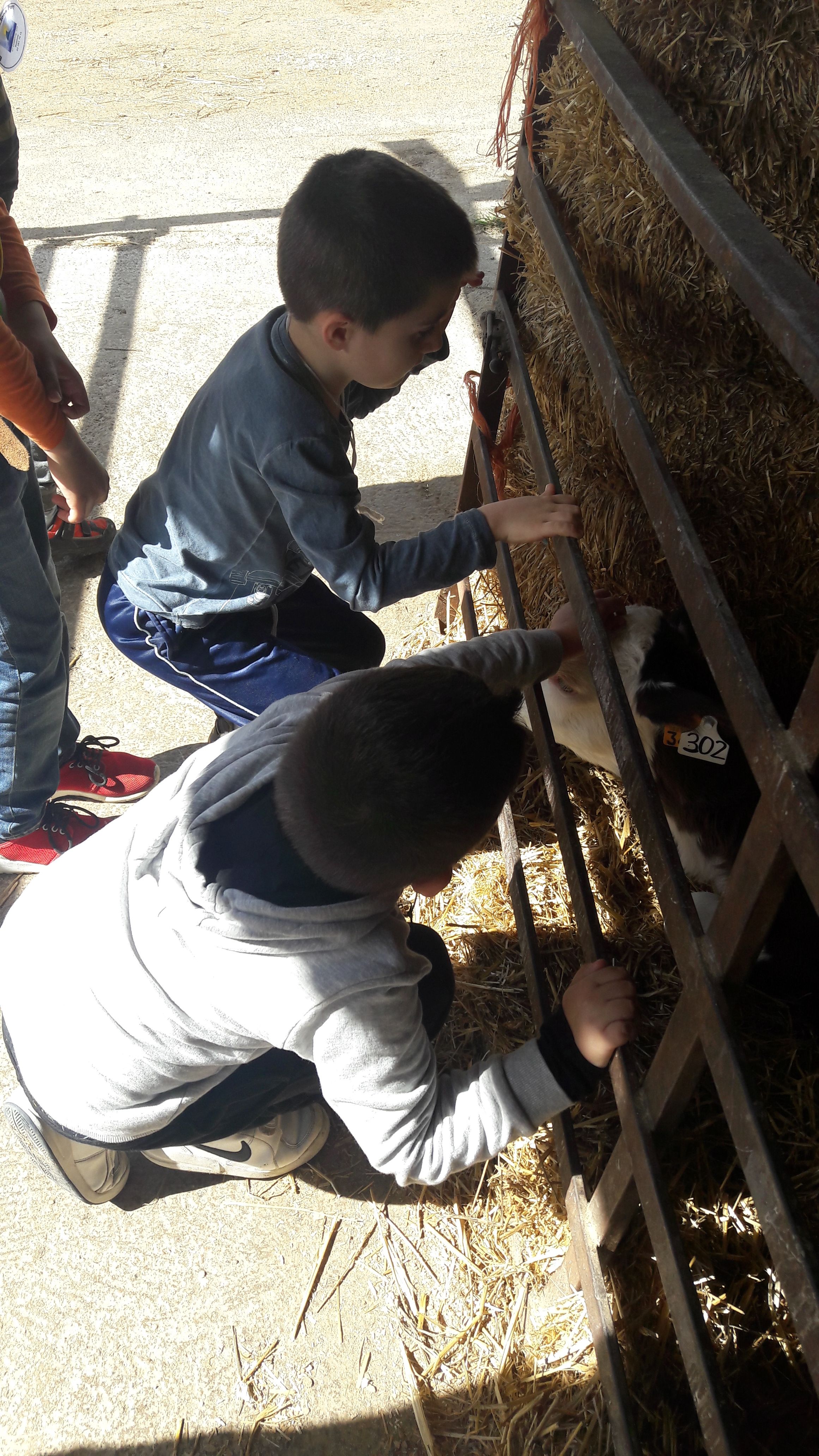 20190307_120222_result