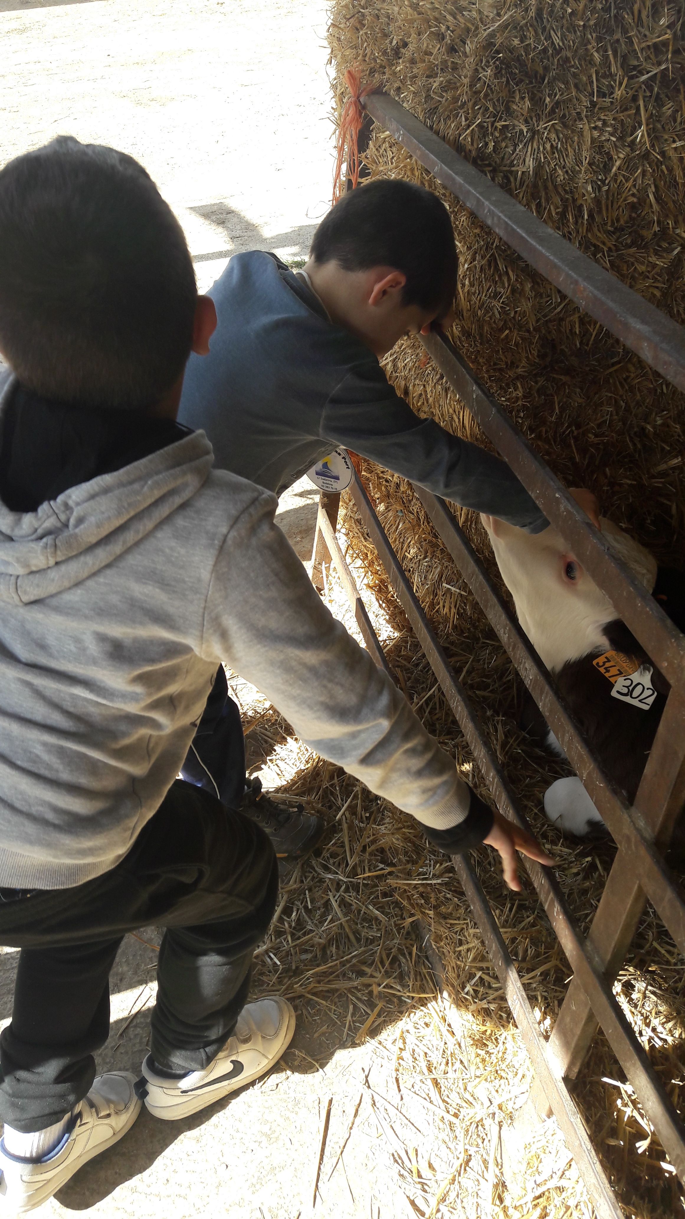 20190307_120225_result