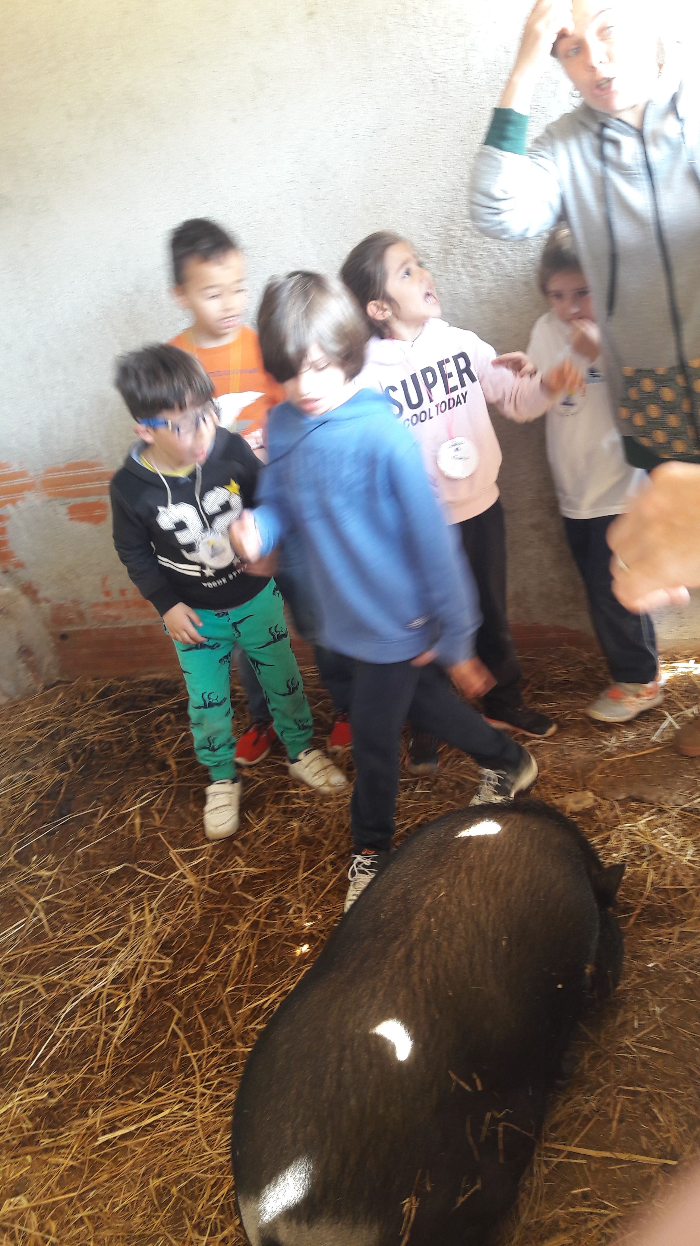 20190307_120909_result