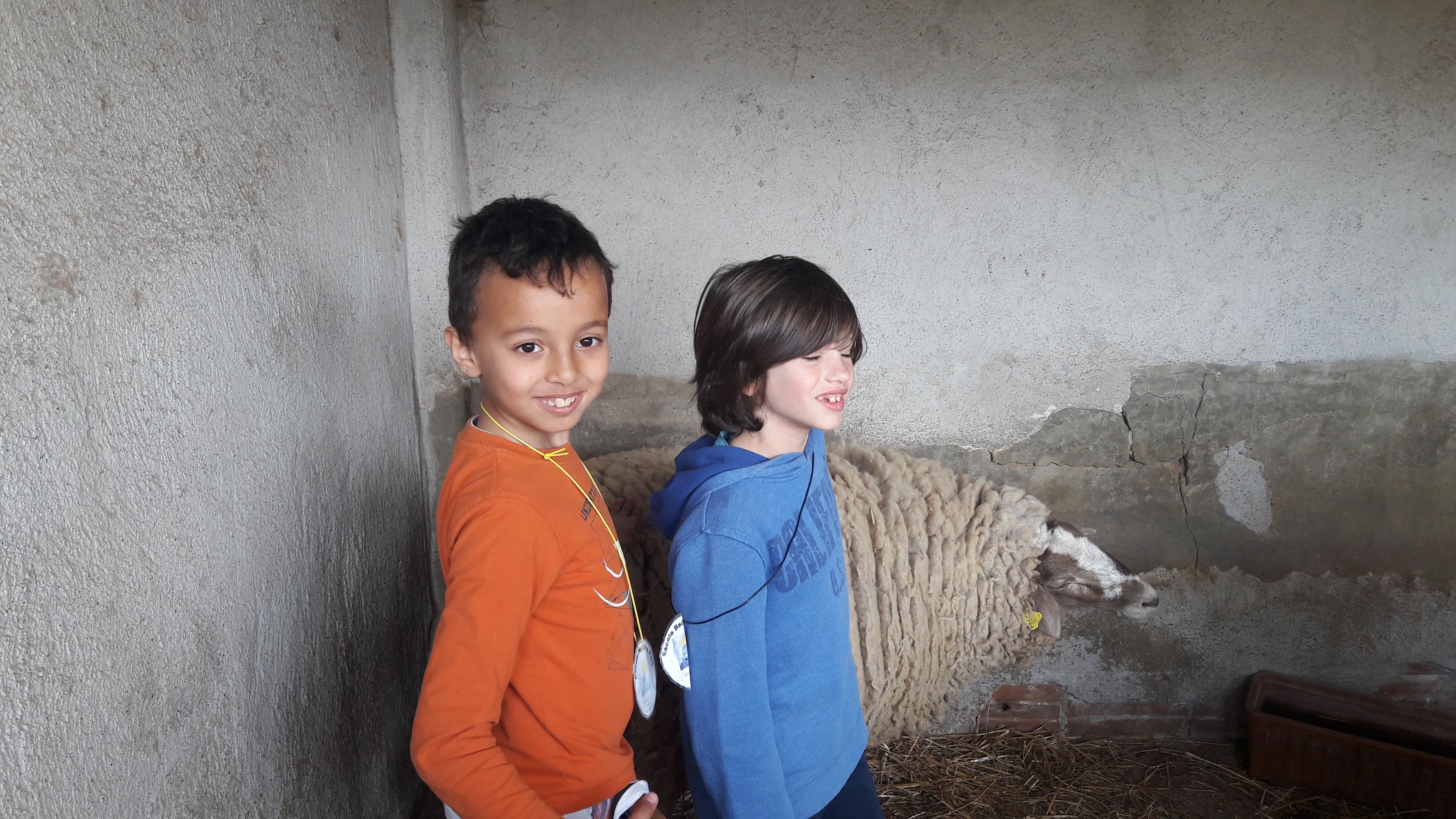 20190307_120925_result