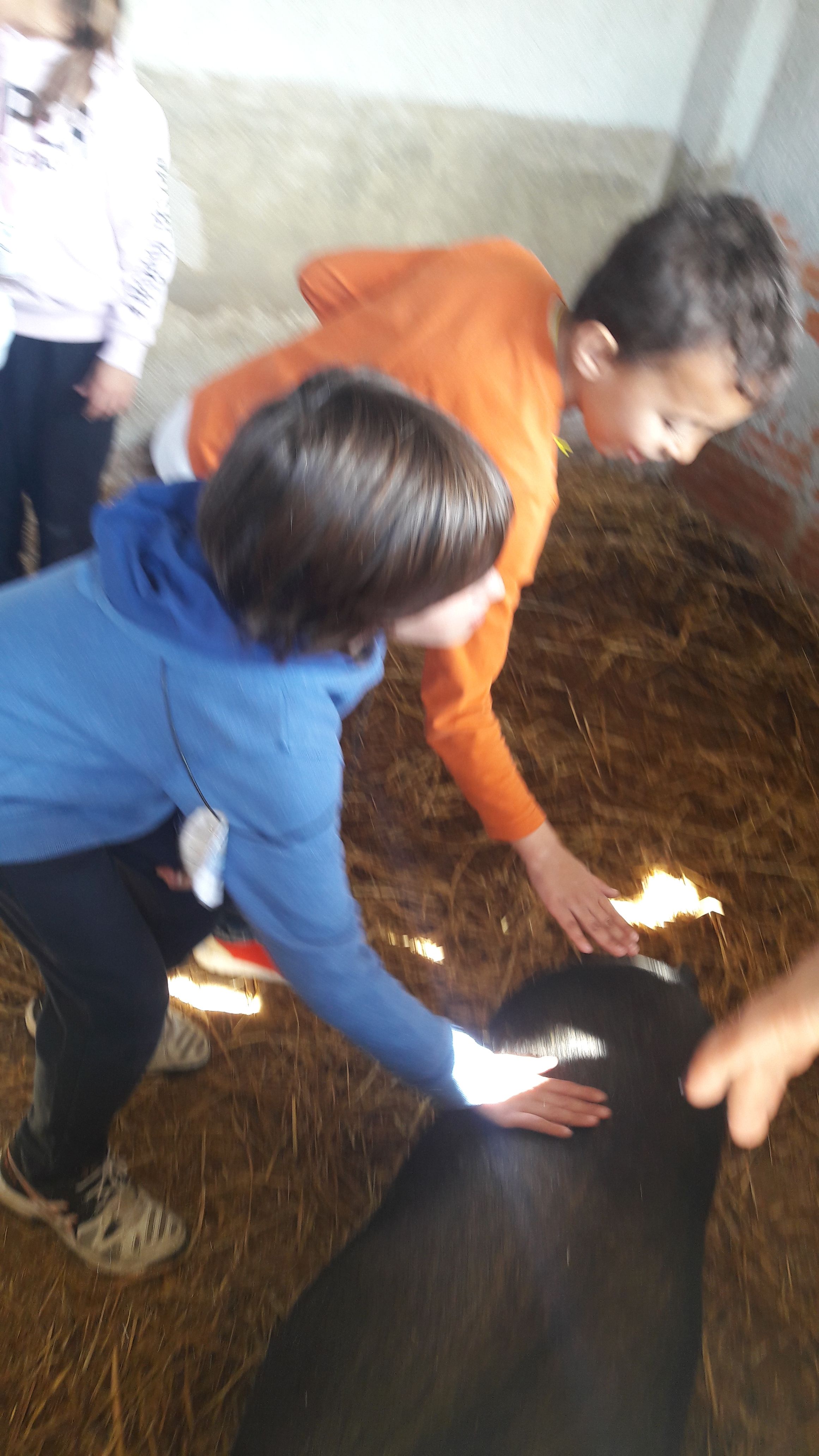 20190307_120954_result