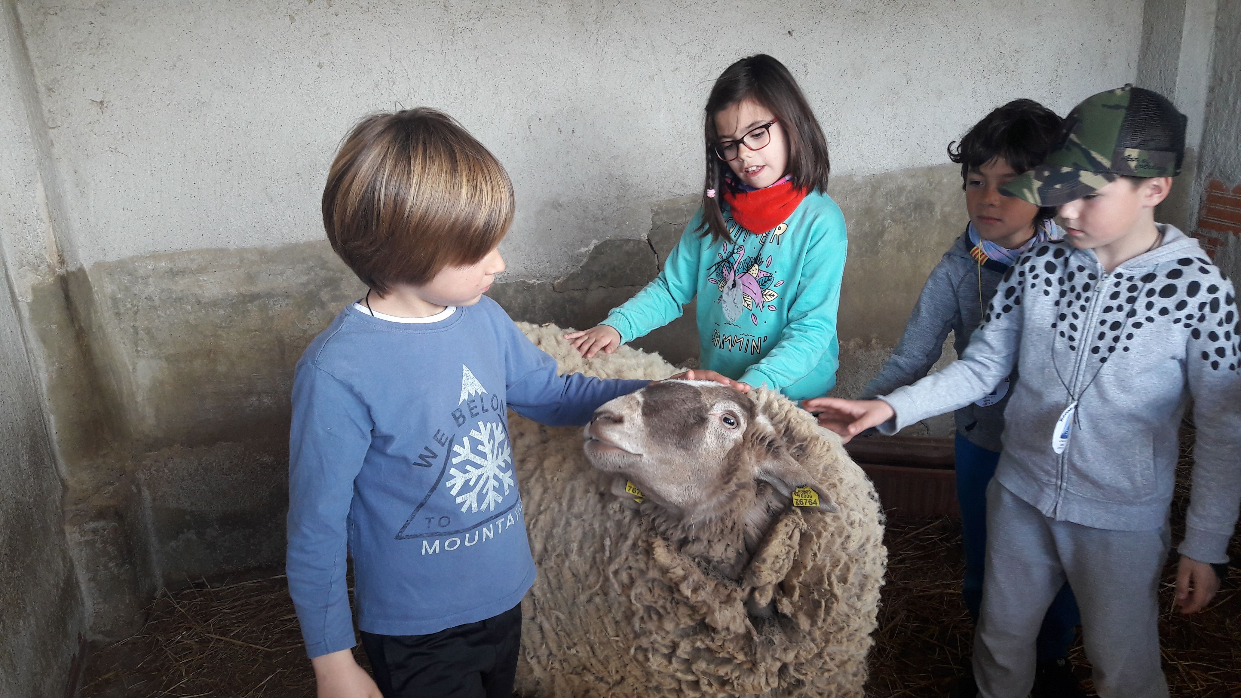 20190307_121051_result