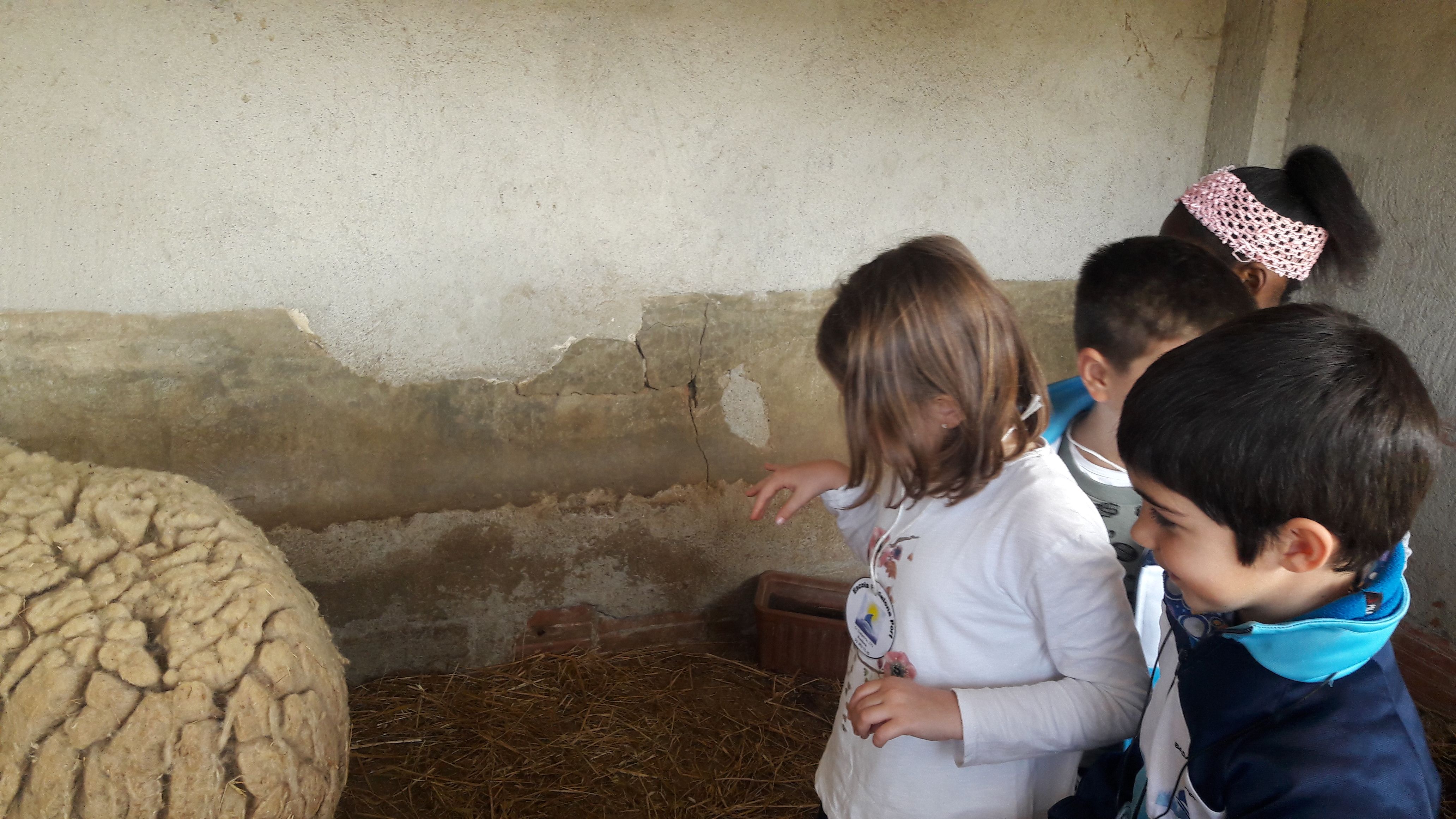 20190307_121153_result