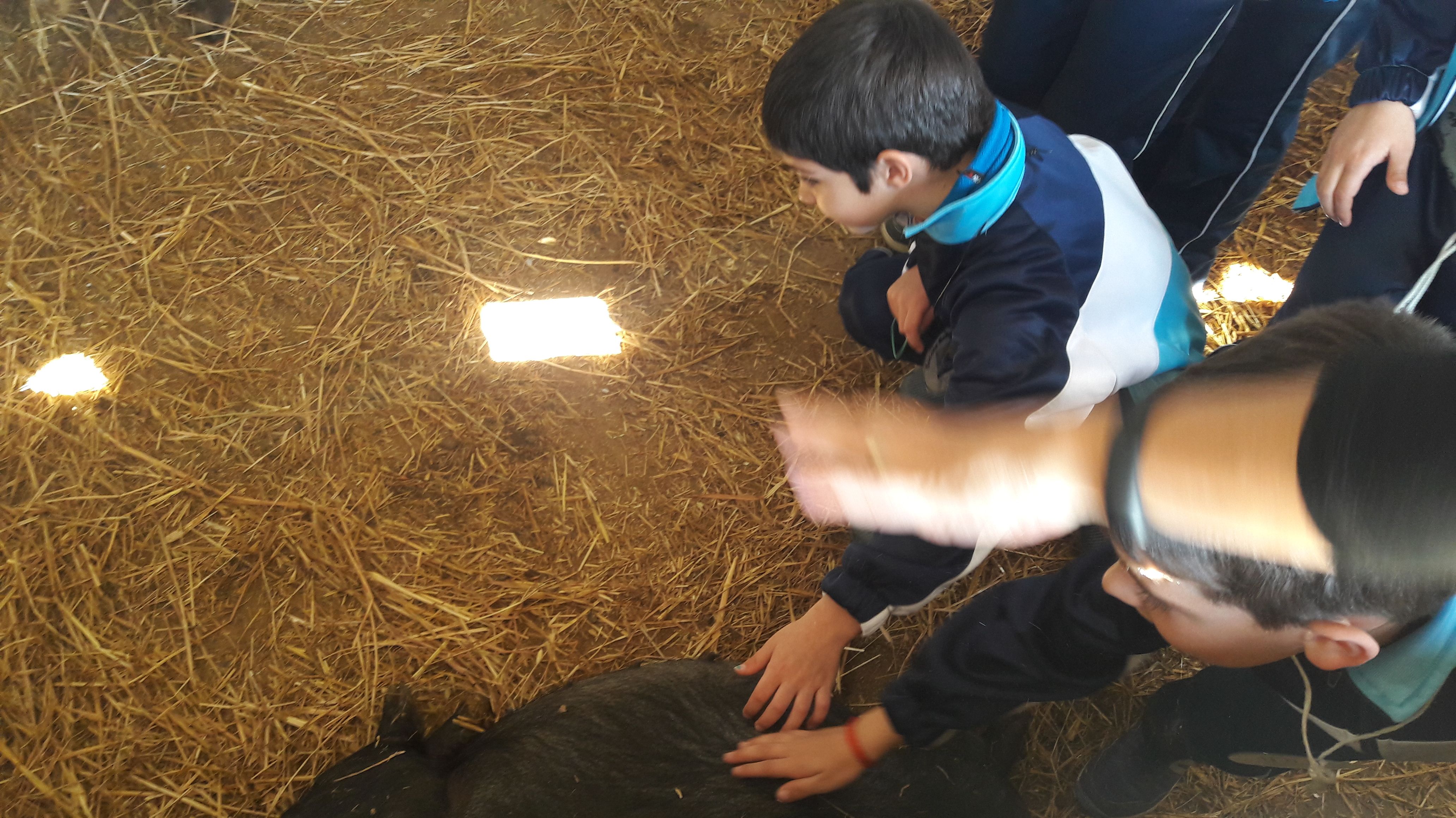 20190307_121157_result