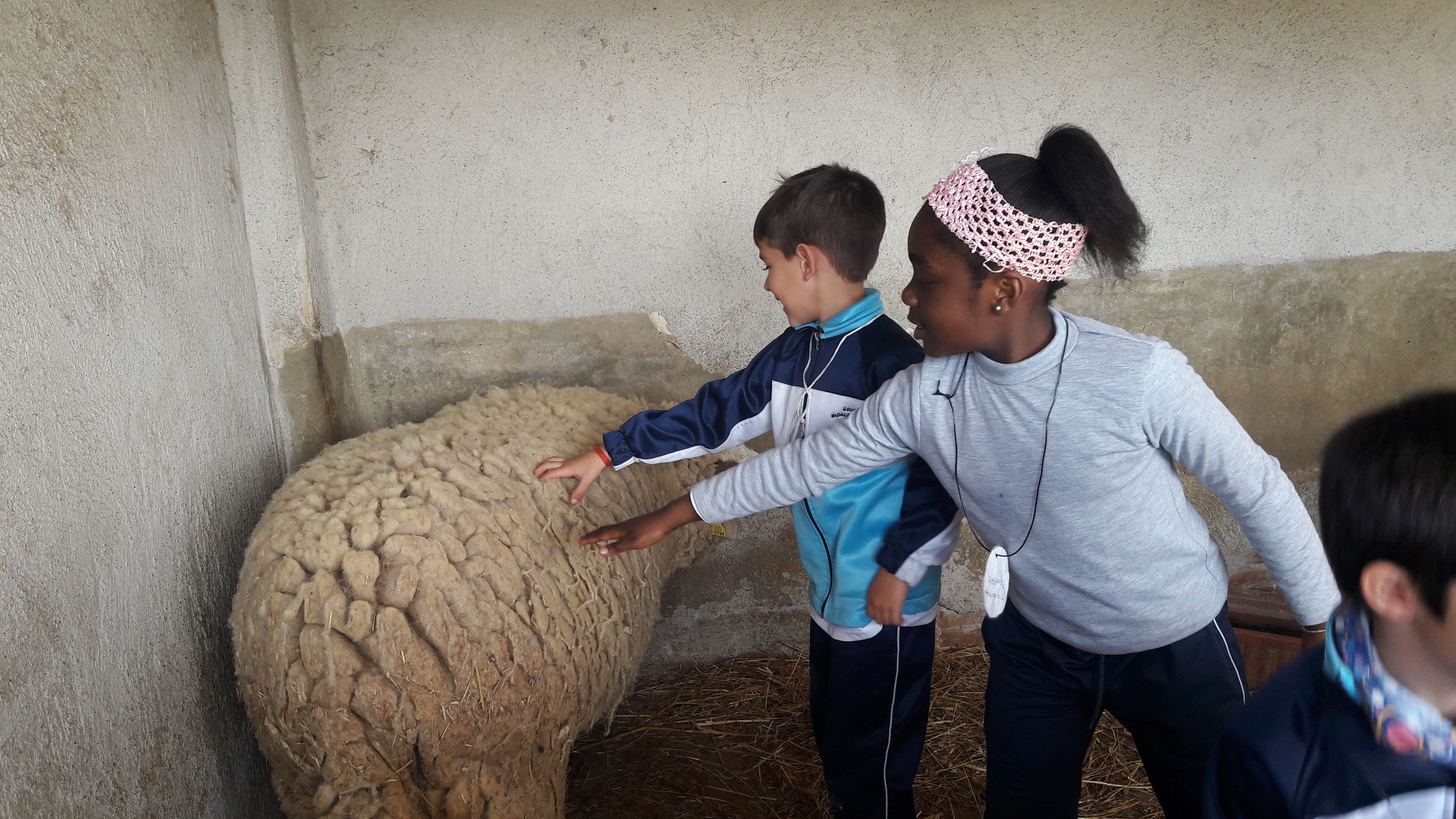 20190307_121212_result