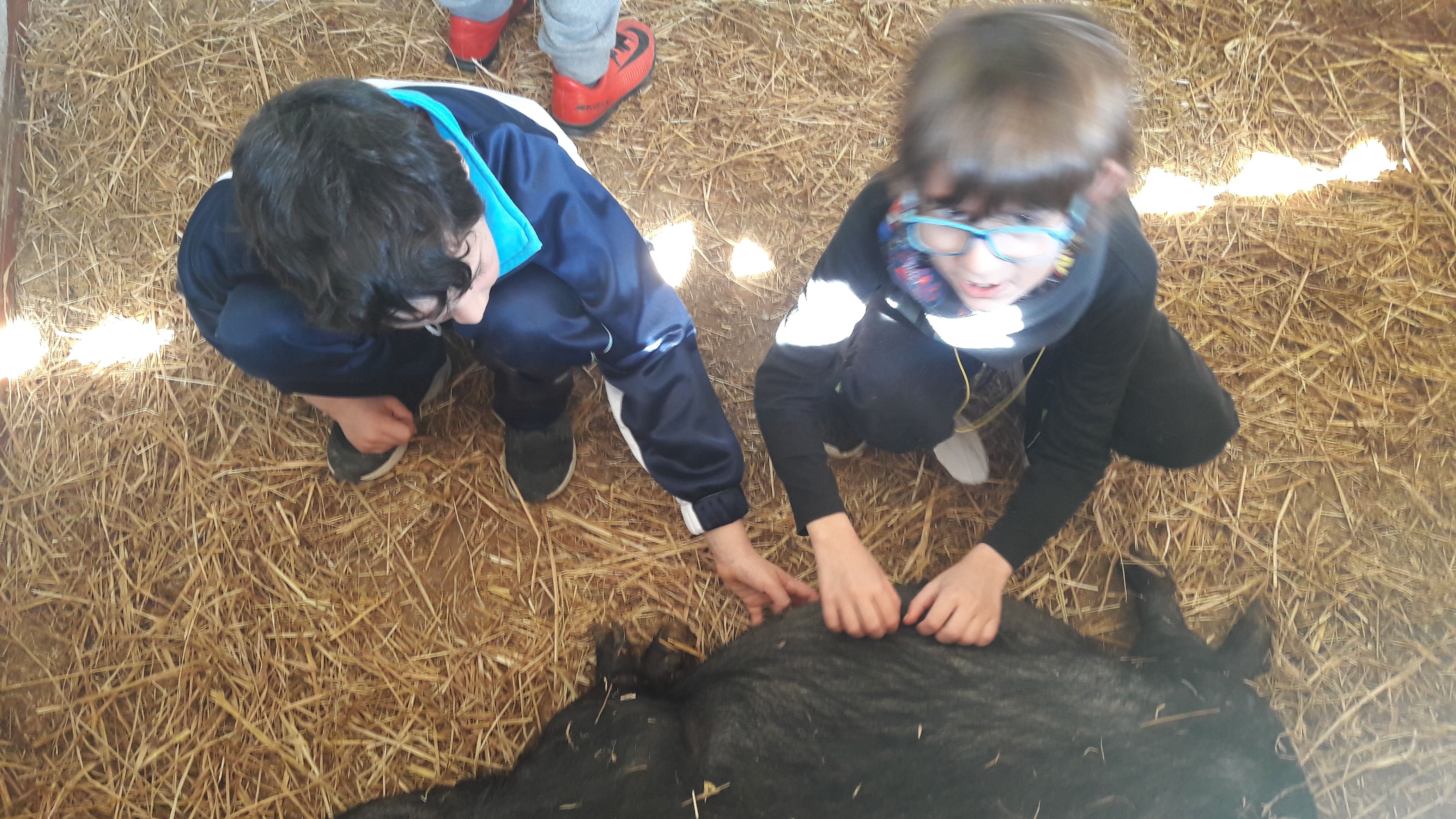 20190307_121321_result