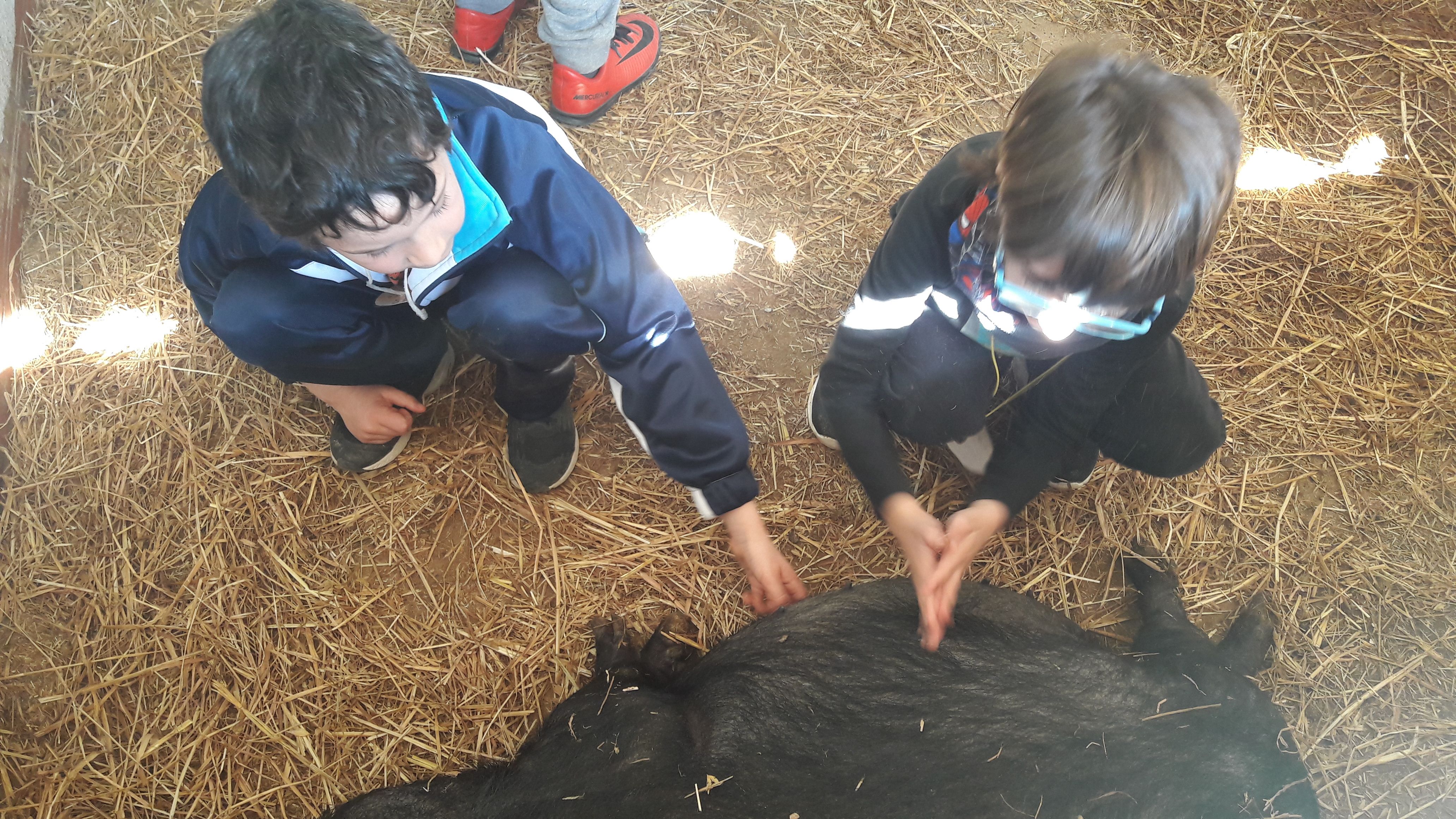 20190307_121324_result