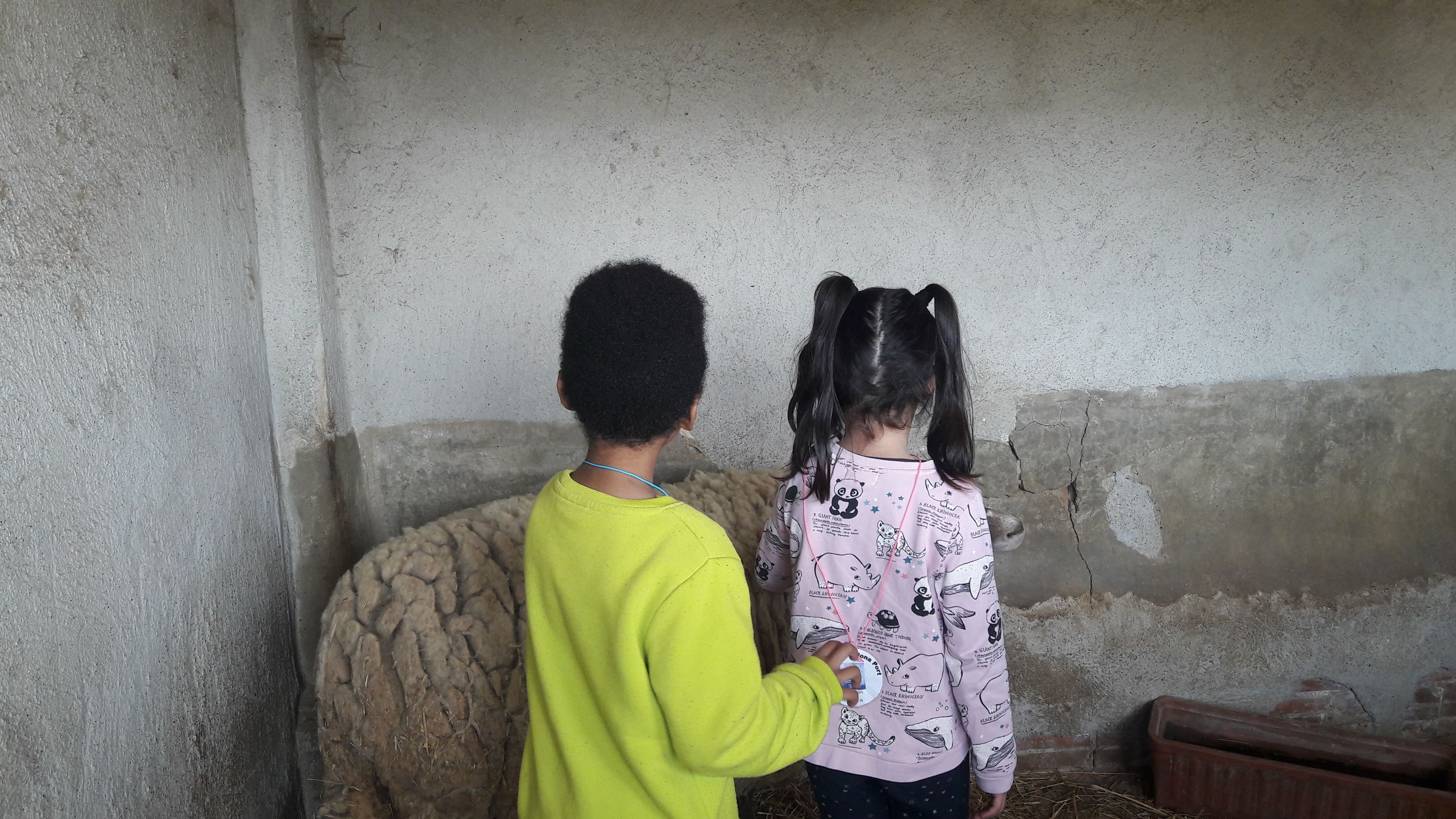 20190307_121326_result