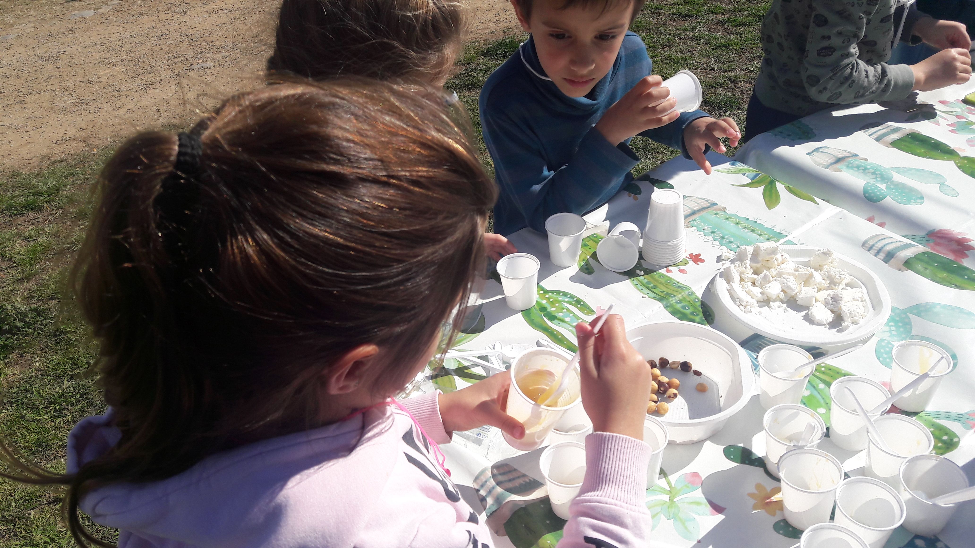 20190307_131157_result