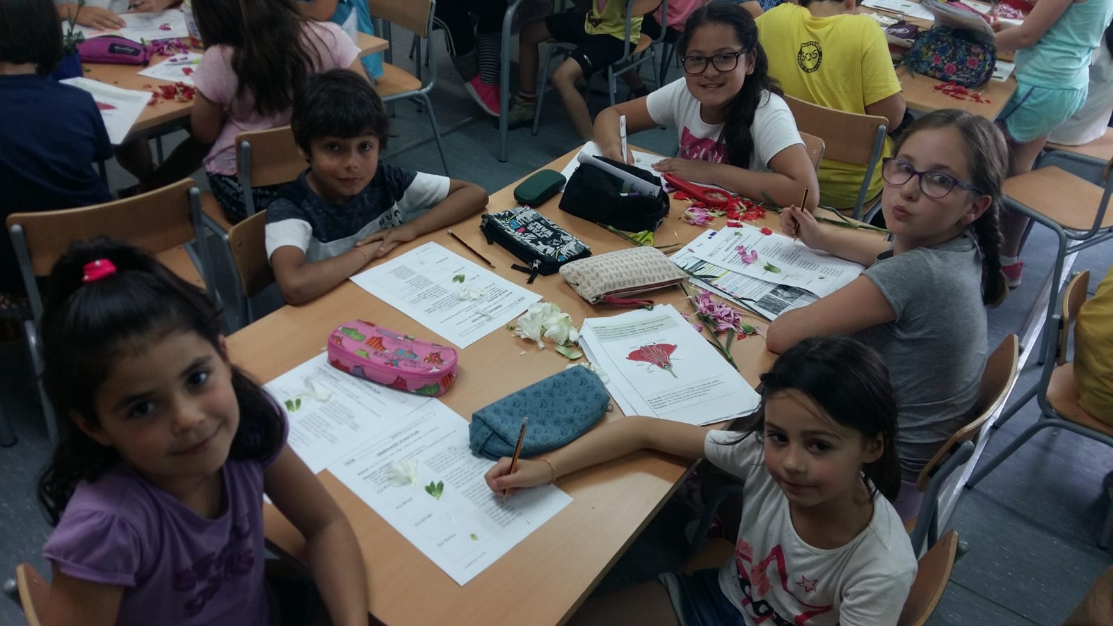 37fb9d8a-8d7d-4b25-bb88-e6804c58b1c5