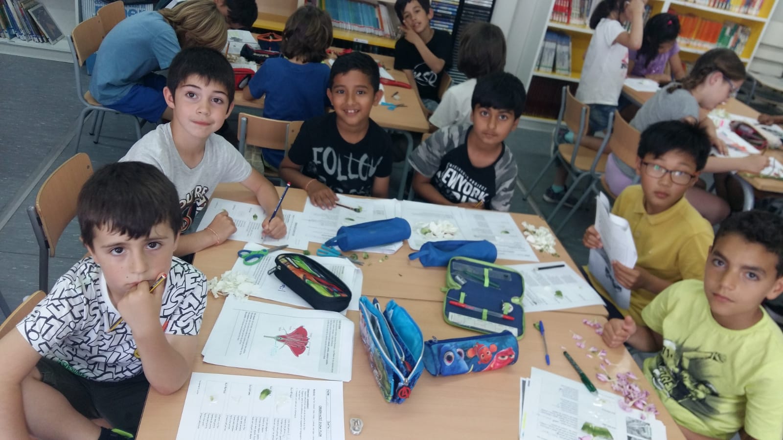 39469c02-621d-4529-8cdb-f2648bc202b0