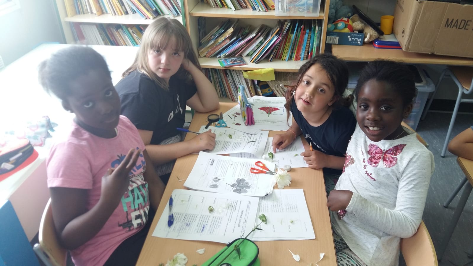 5e54c713-454b-43ea-b384-bfb46a547136