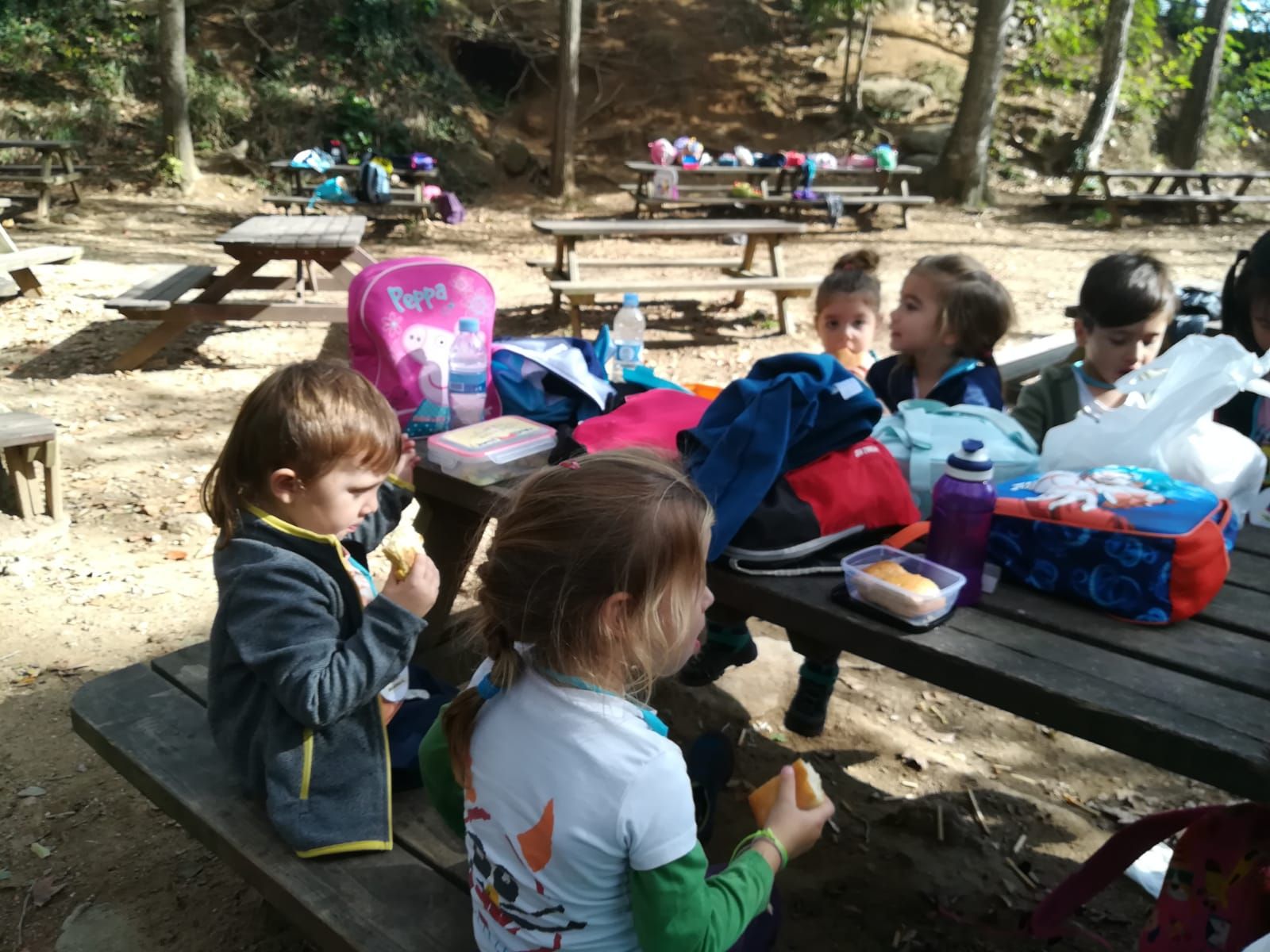 IMG-20191029-WA0031_result