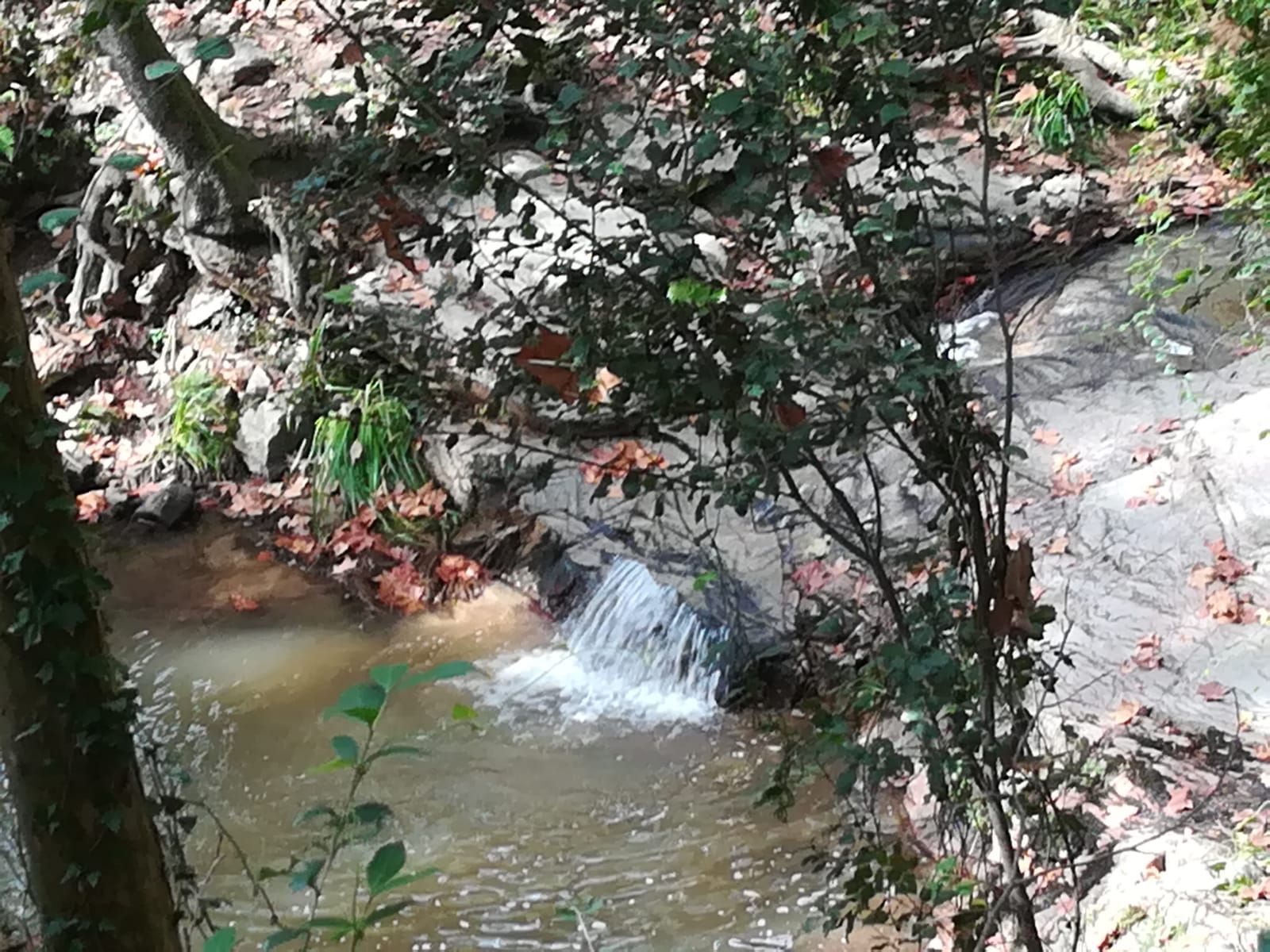 IMG-20191029-WA0042_result